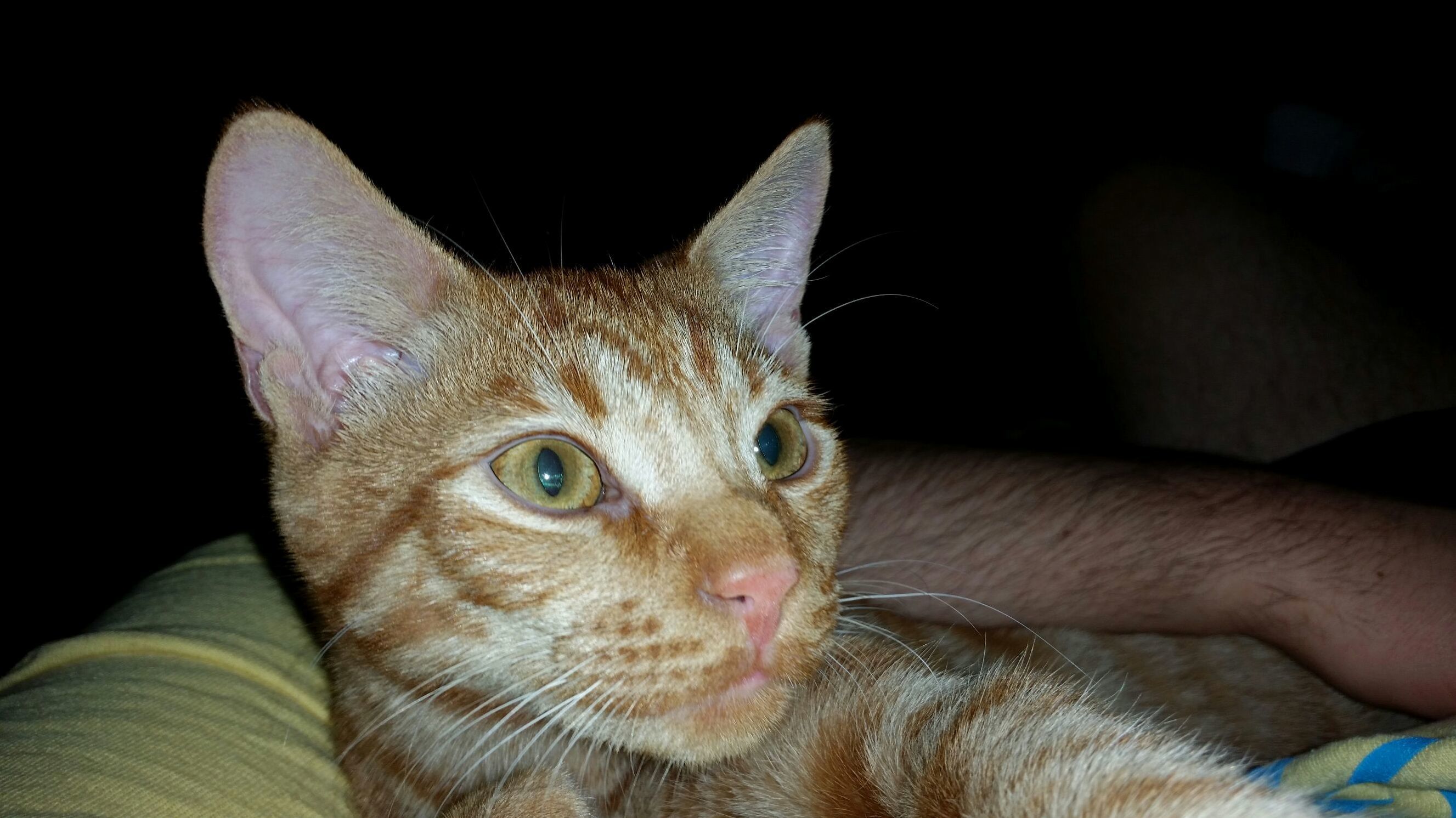 My Main Man Cecil.