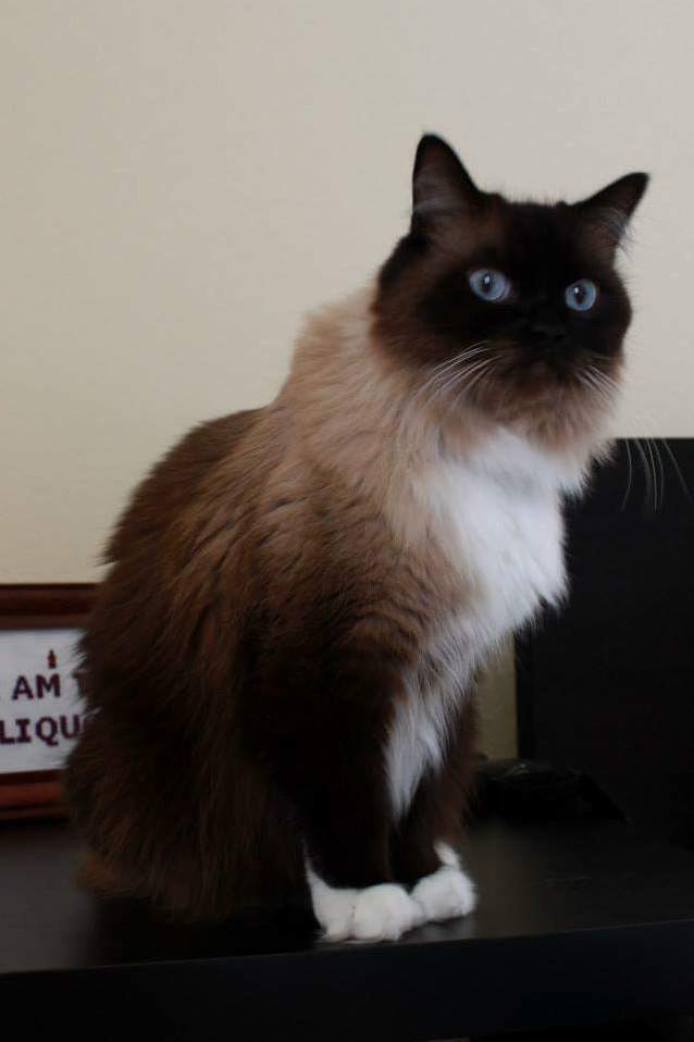 My New Big Beautiful Boy.