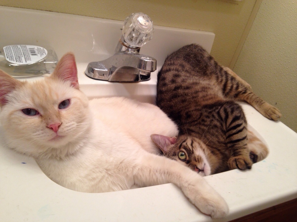 Not Enough Room for the Two of Us