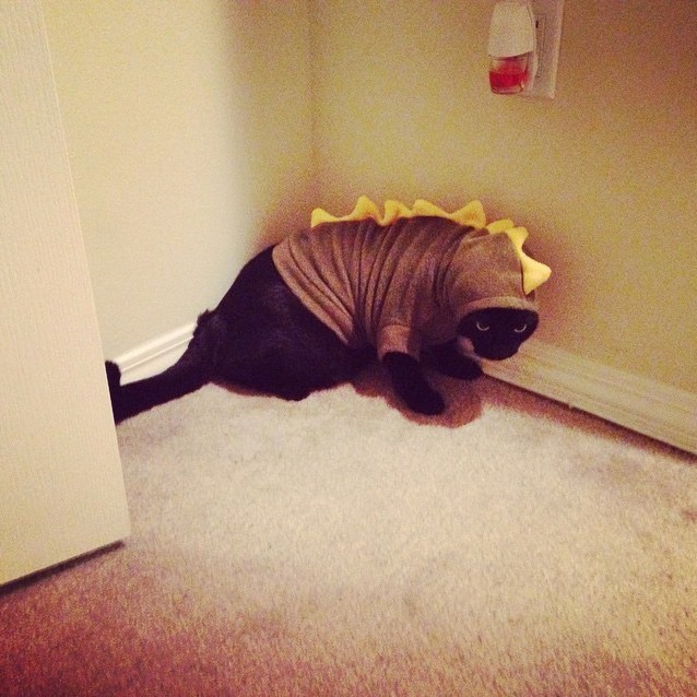 Obie Gatekeeper and Destroyer of Worlds Bringer of the Beginning and the End.