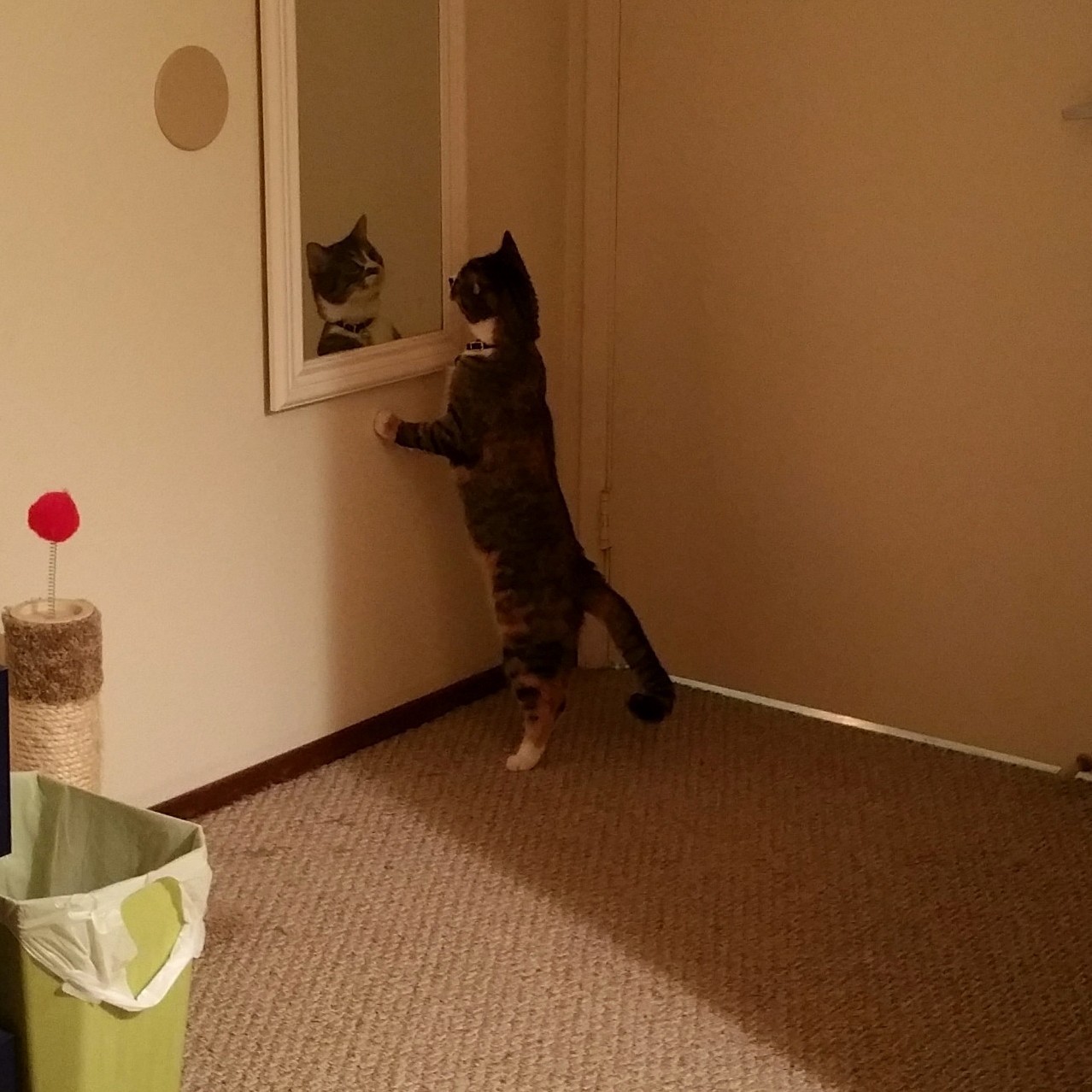 Oh Hello There...