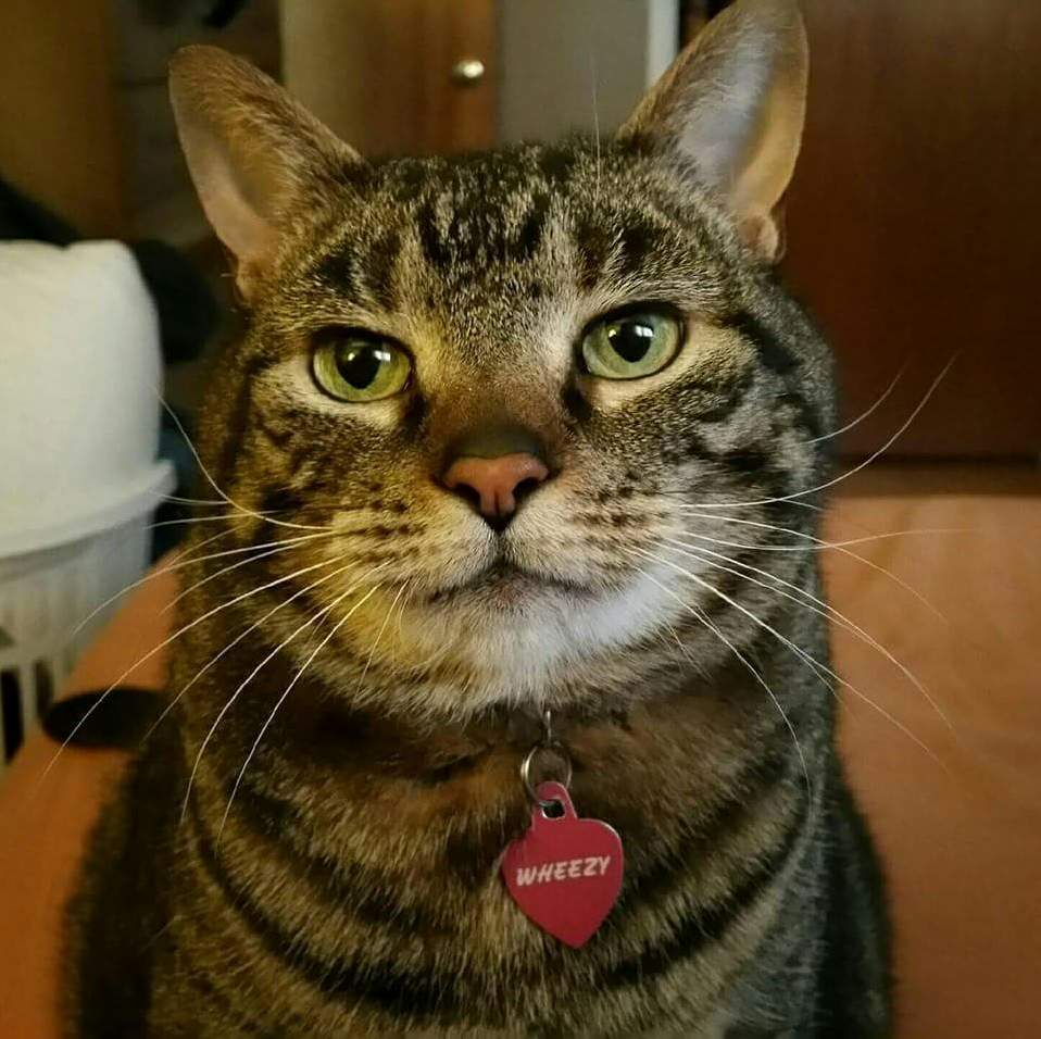 Our Beautiful Girl.