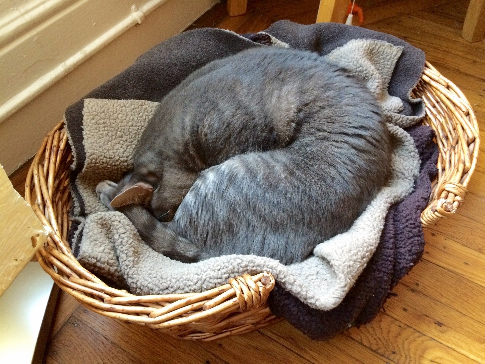 Perfect Nap Tuck Form 1010