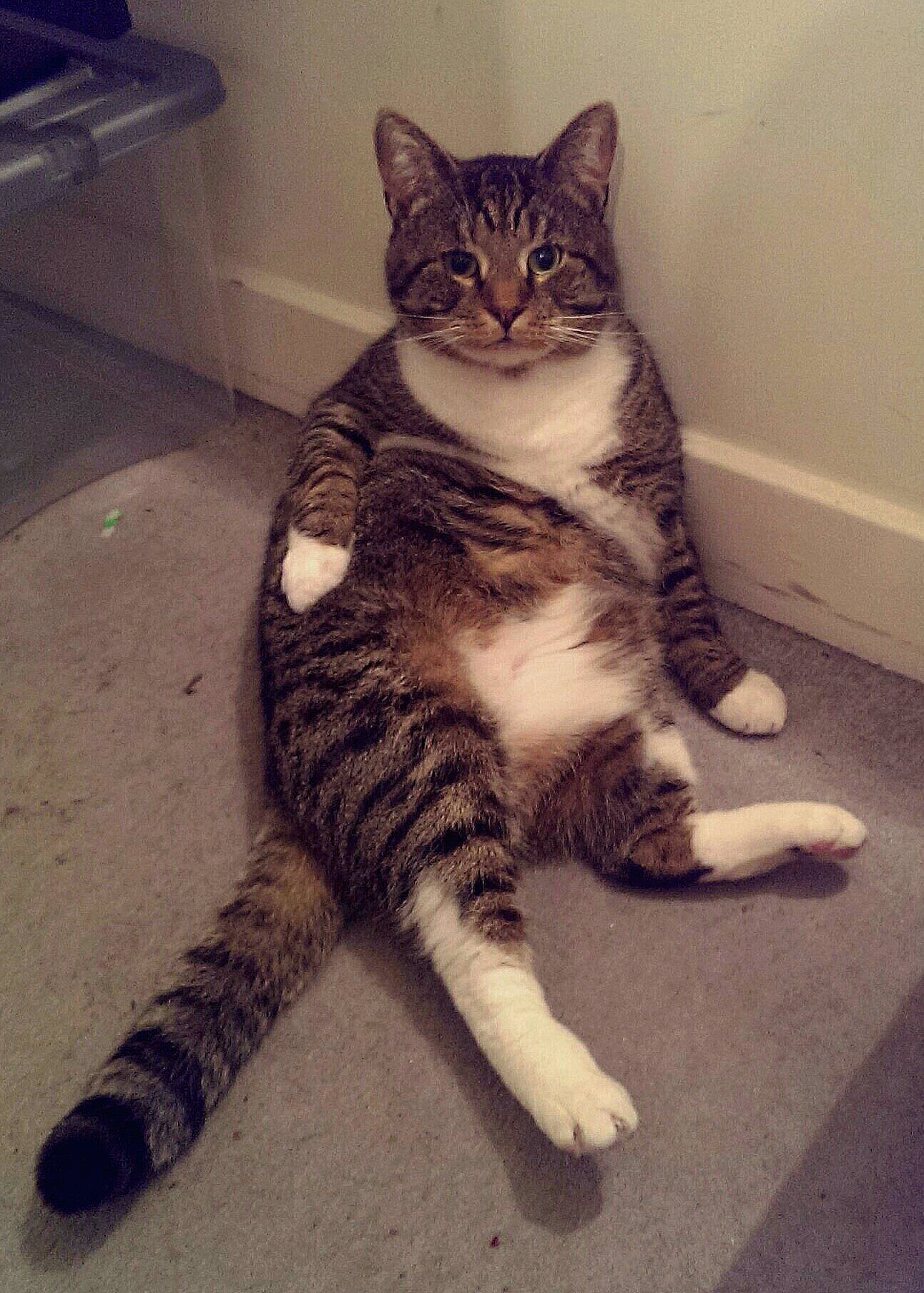 Posing