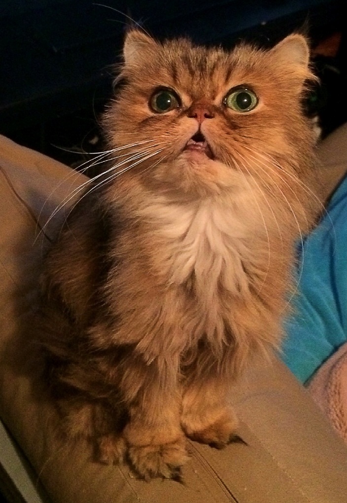 Romeo Doing His Derp Face