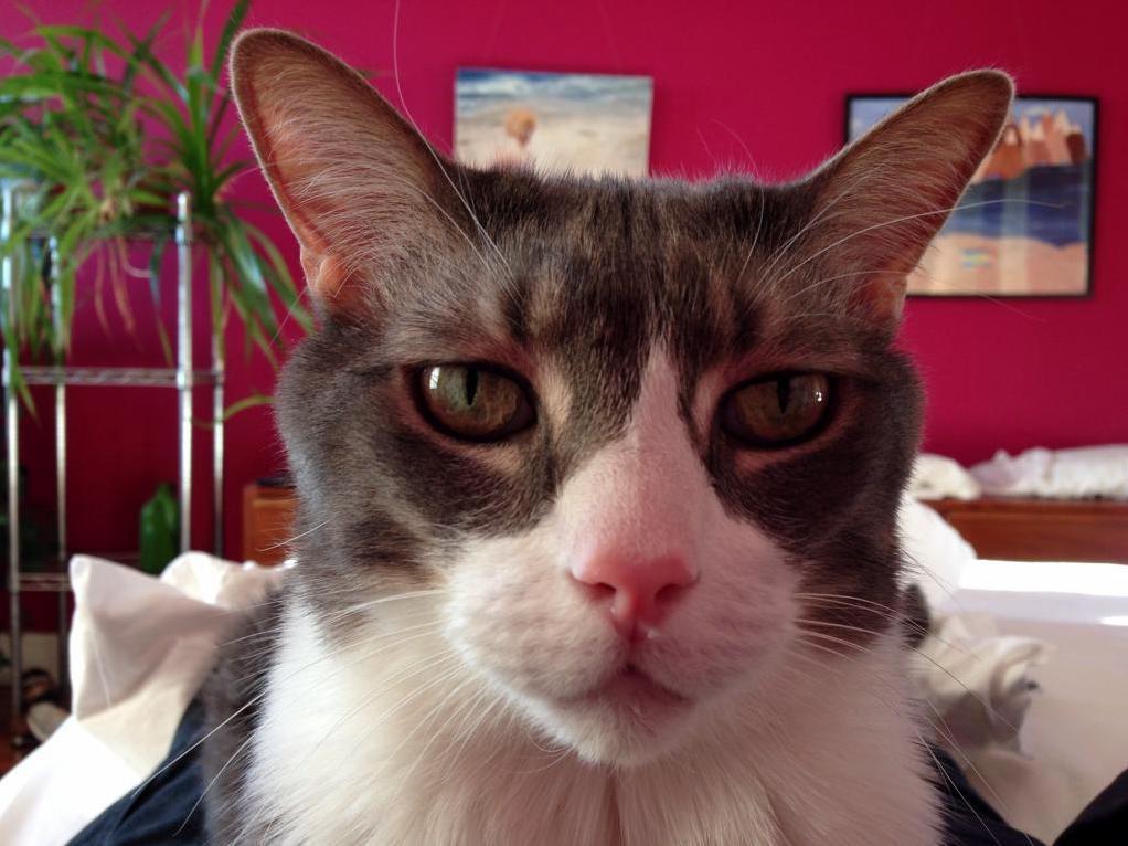 Rudy