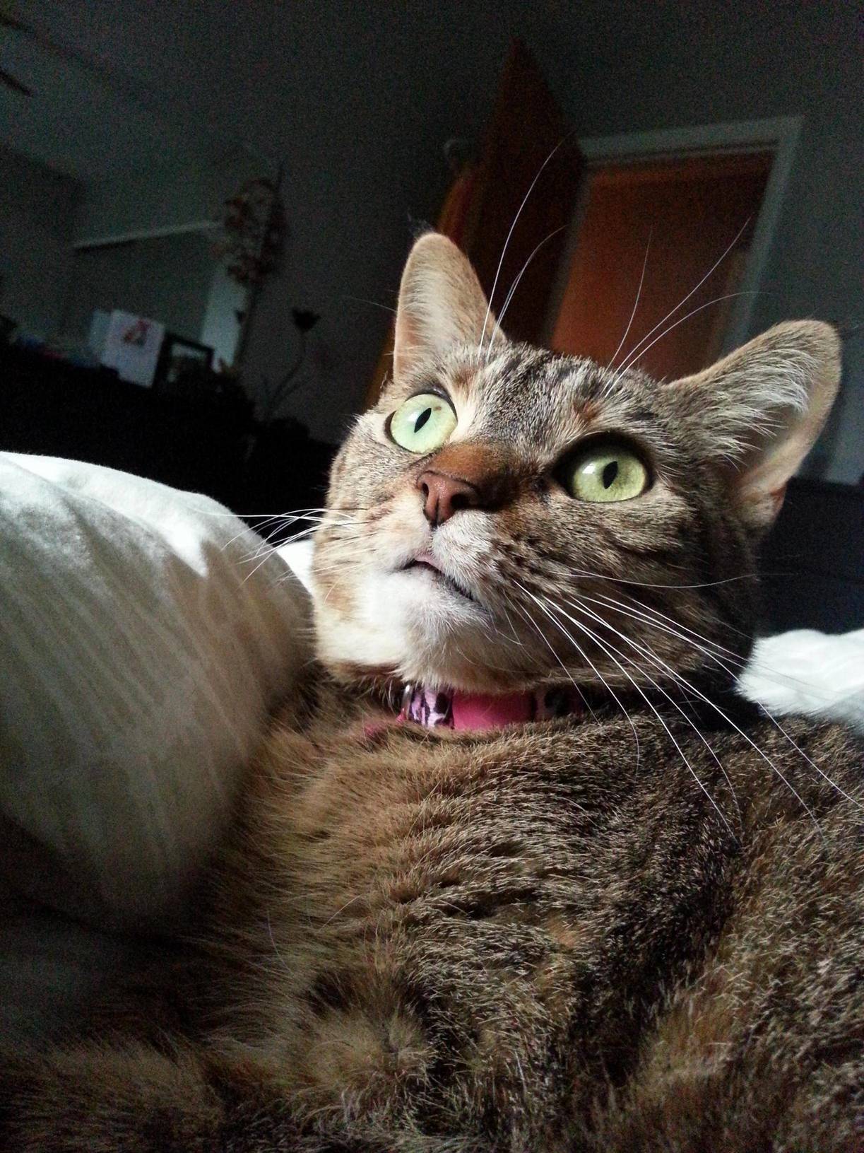 She Can Be a Little Derpy at Times
