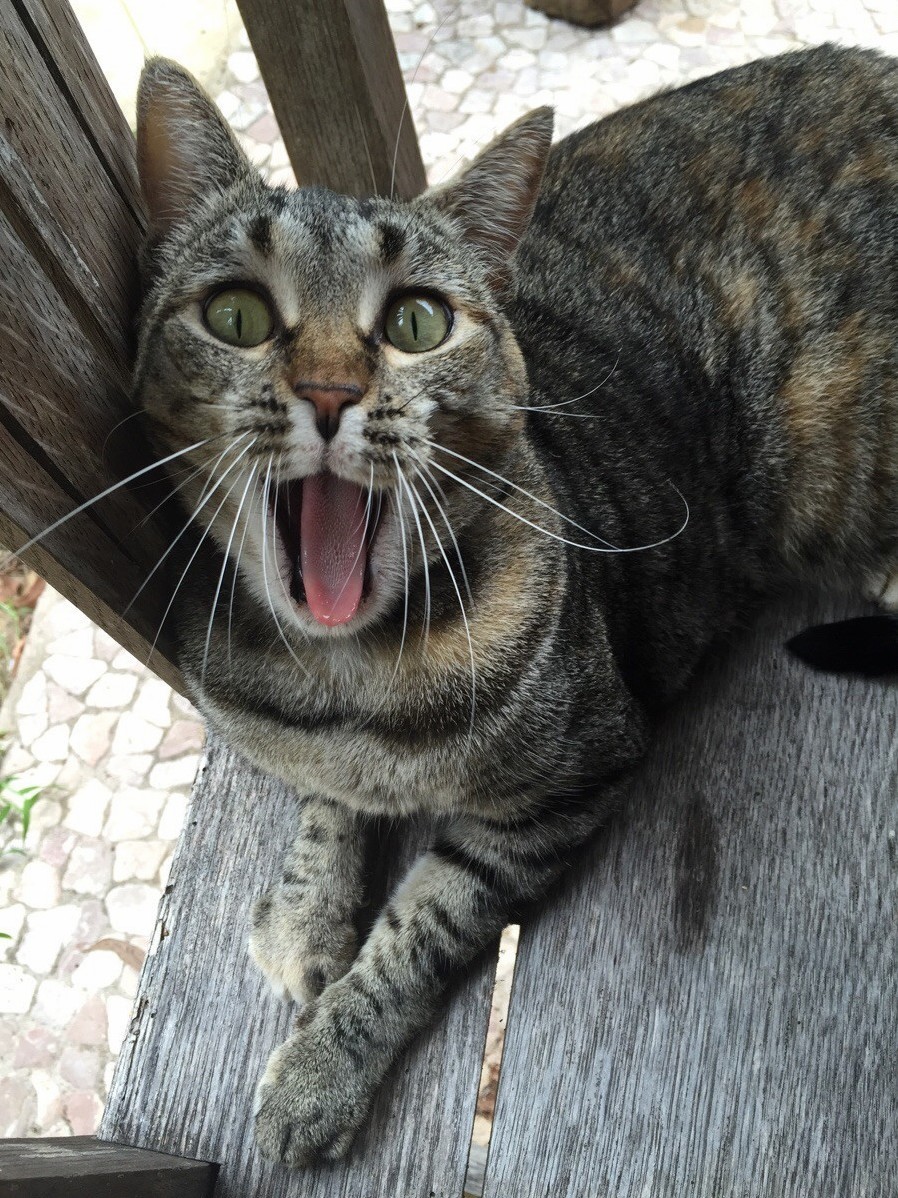 She Looks Shocked to Say the Least.