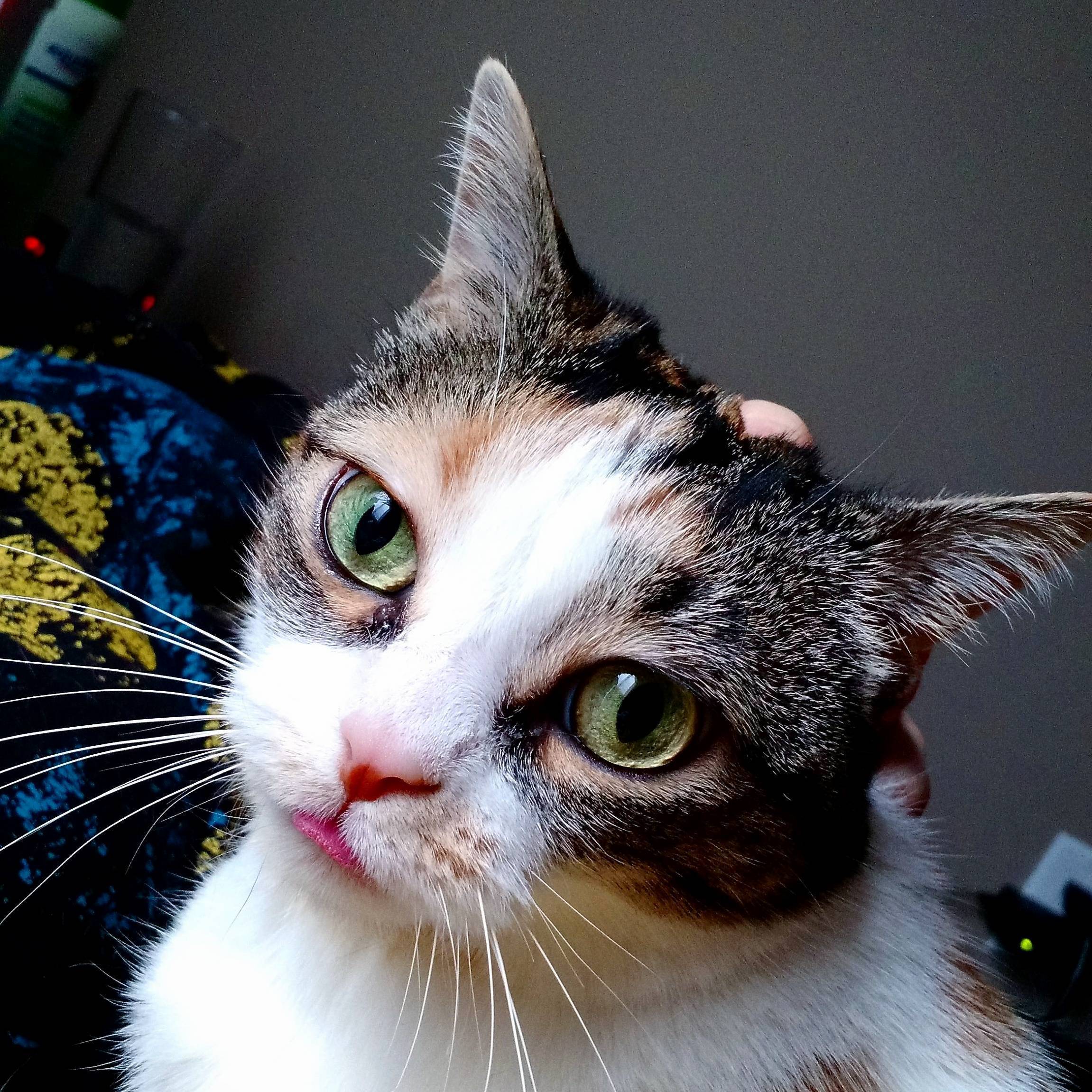 She Stuck Her Tounge and It Looks Like She Has Bright Pink Lipstick On.