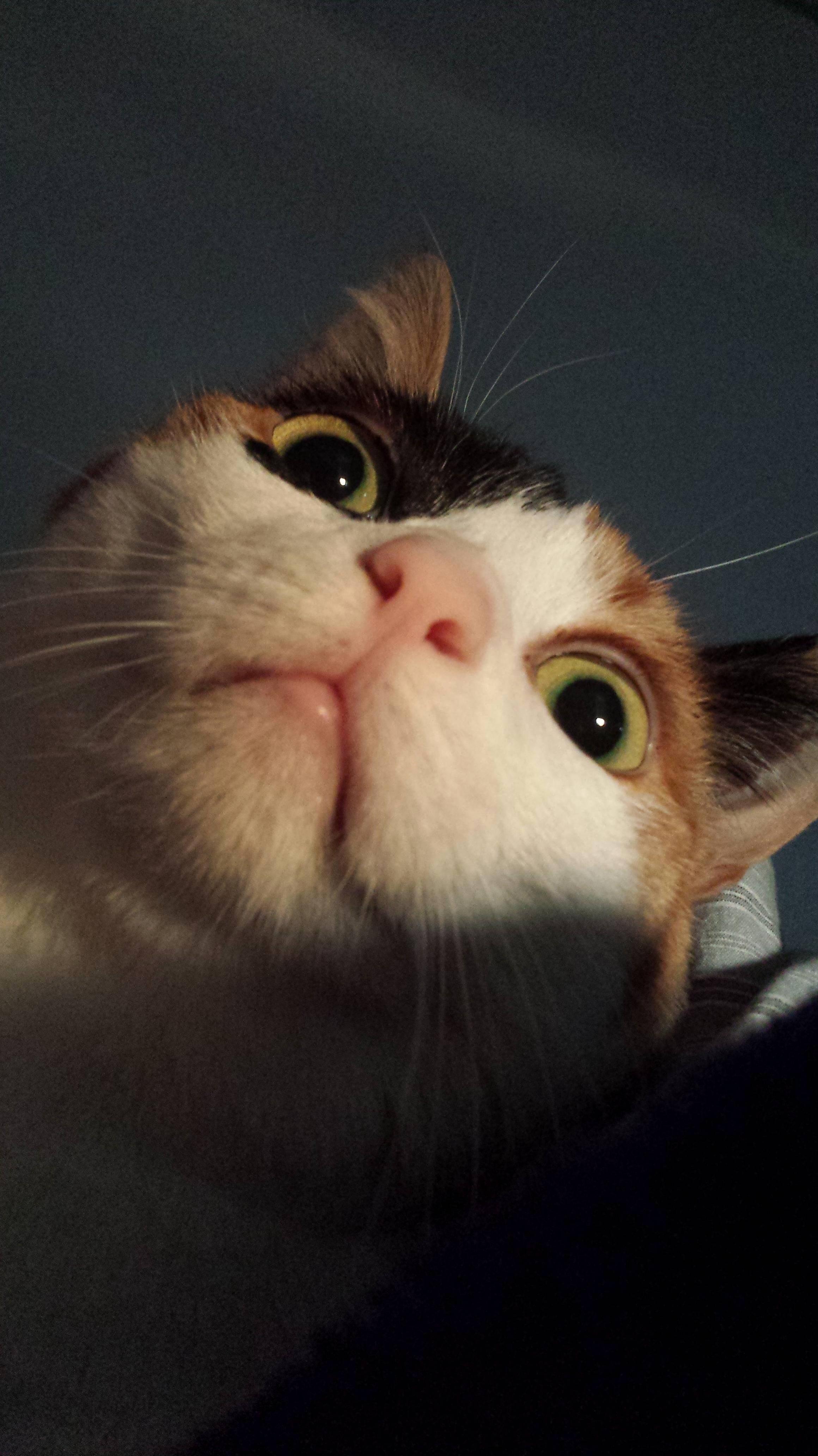 Shes Weird and This Perfectly Displays That.