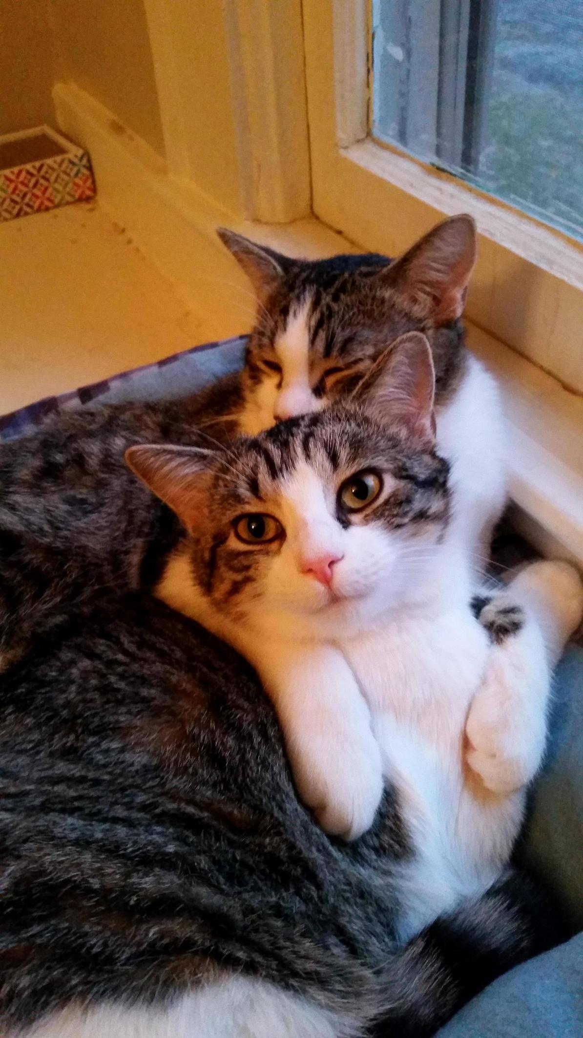 Sibling Love.