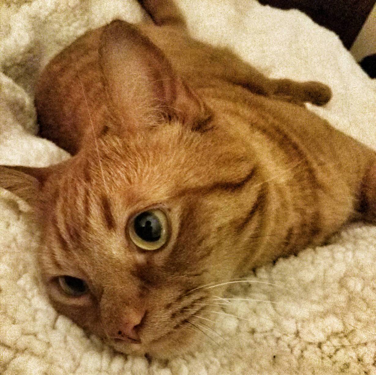 Sidney Hamming It Up for the Camera