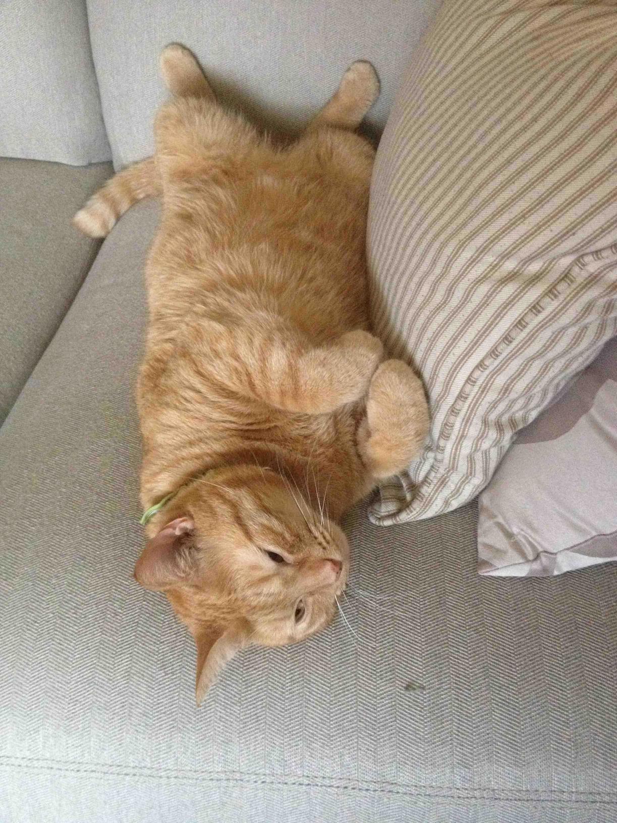 Sleepy Mowgli