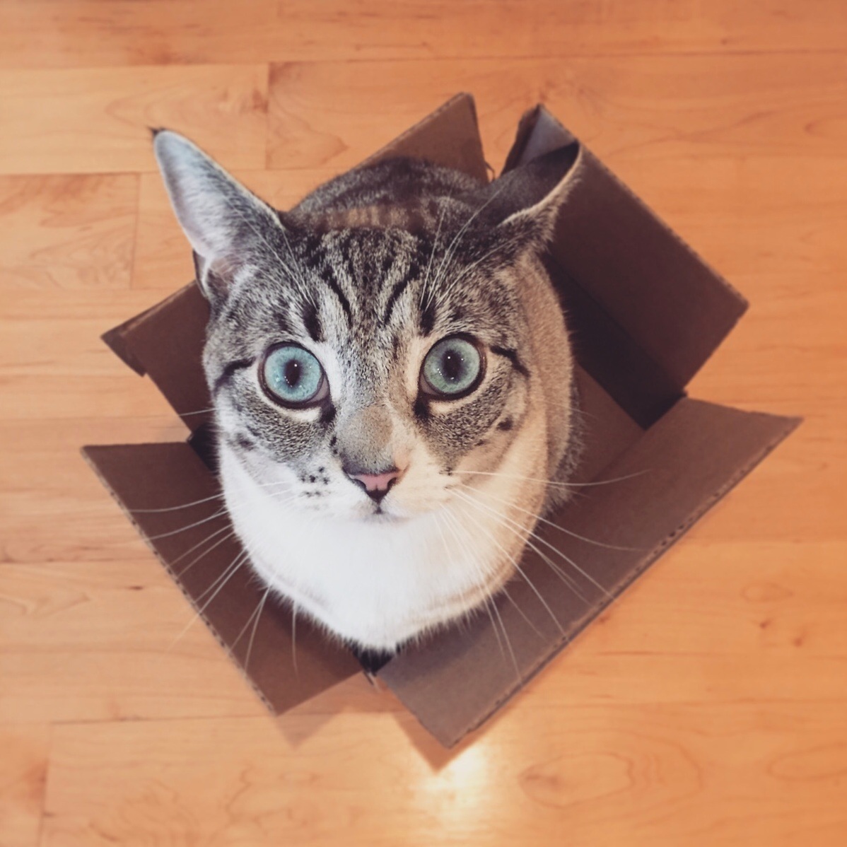 Special Delivery