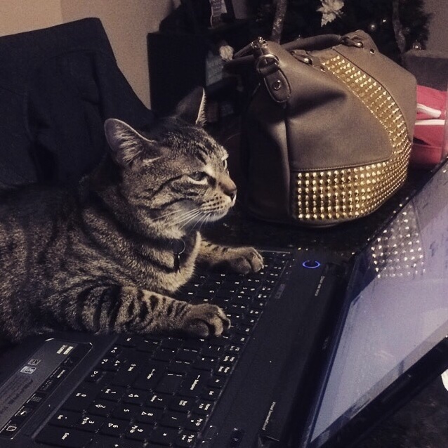 Studying His Way Through Med School