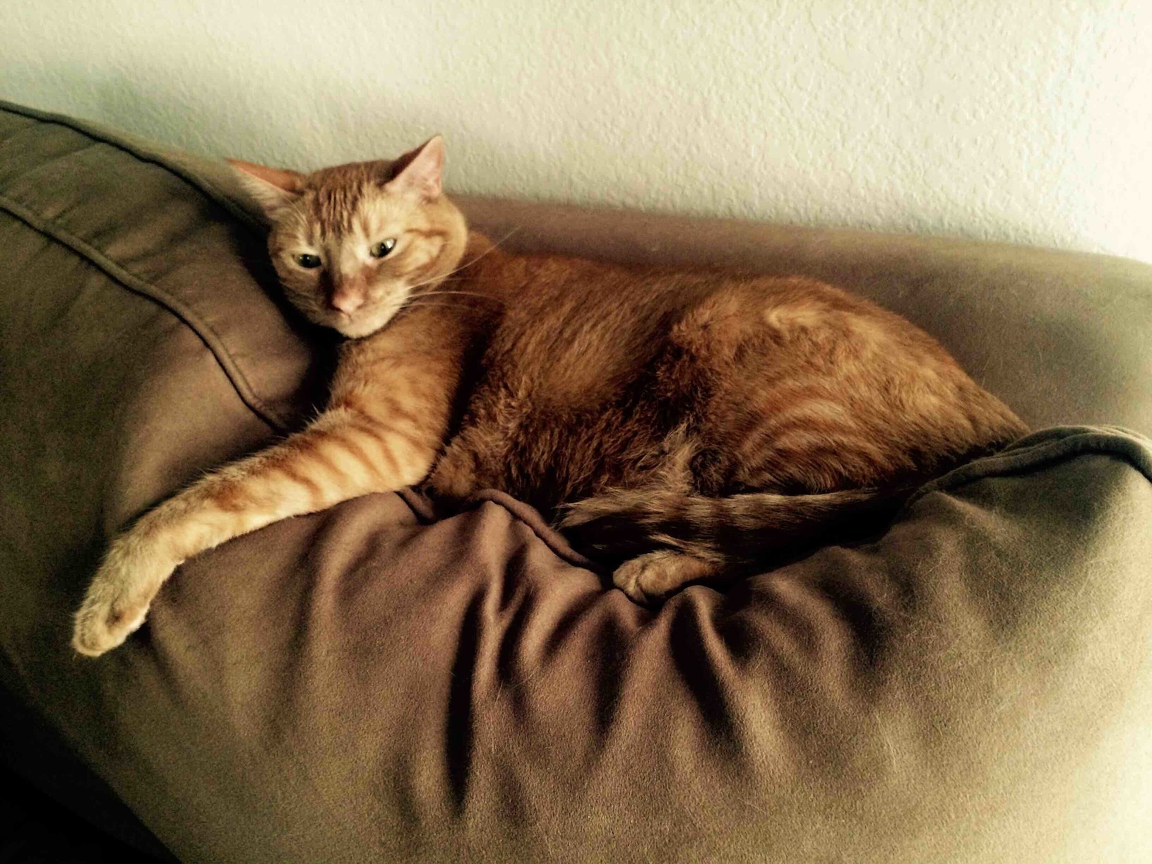The Perfect Spot