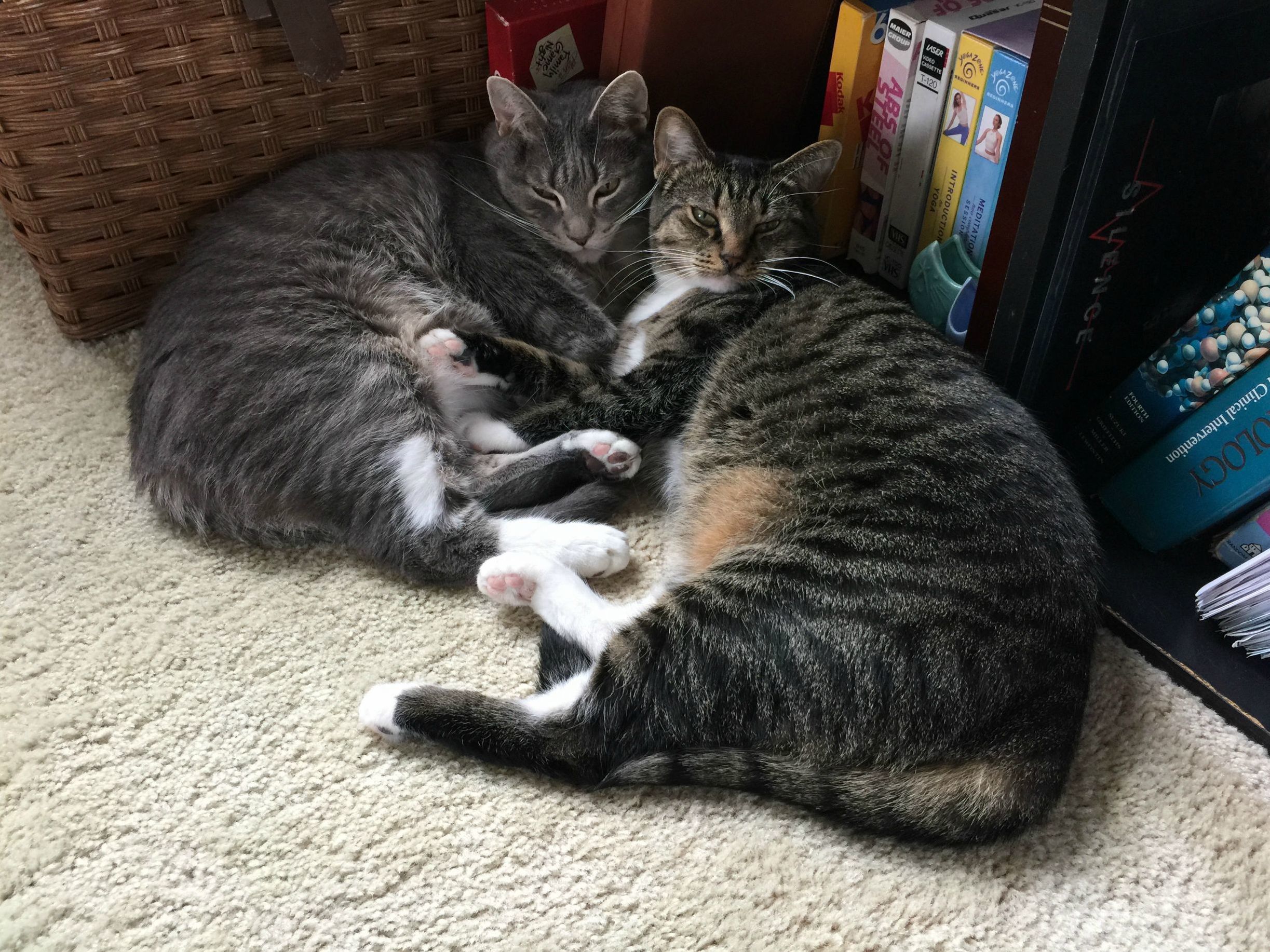 The White Toes Stick Together...
