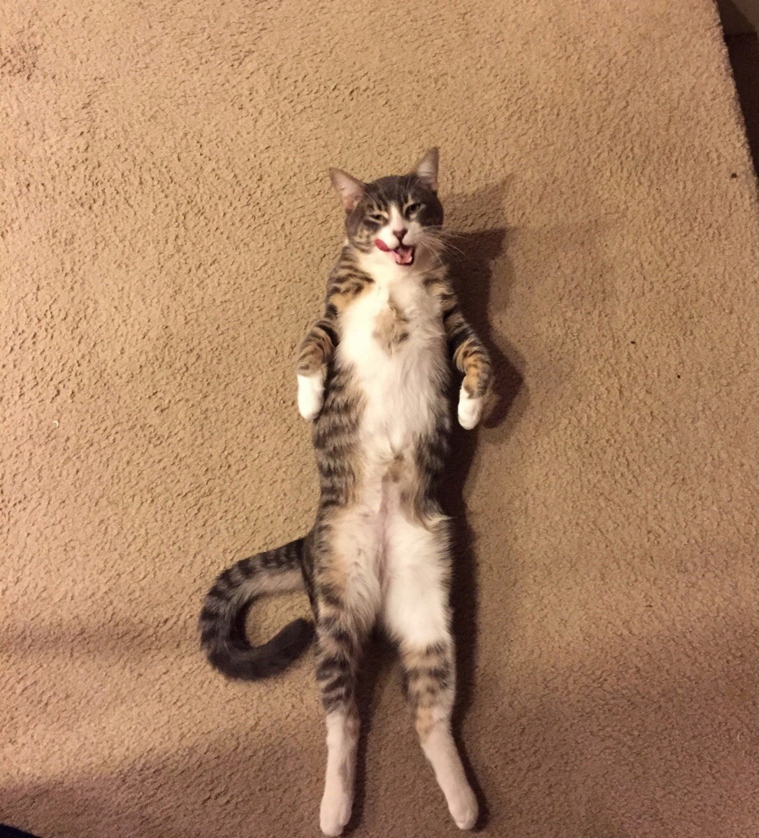 This Is Floyd He Is Special to Say the Least