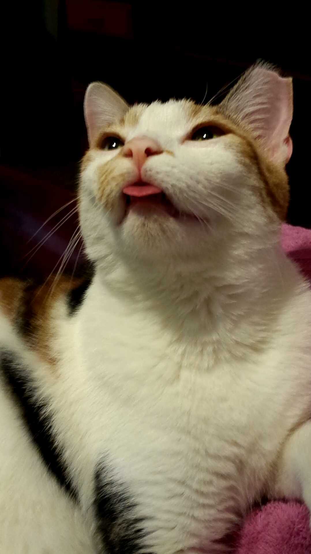 This Is Her Normal Face.