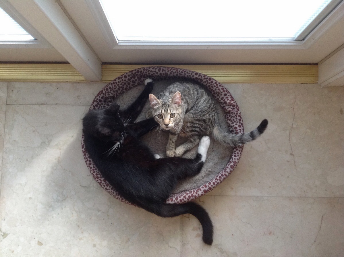 This Is Not What It Looks Like...