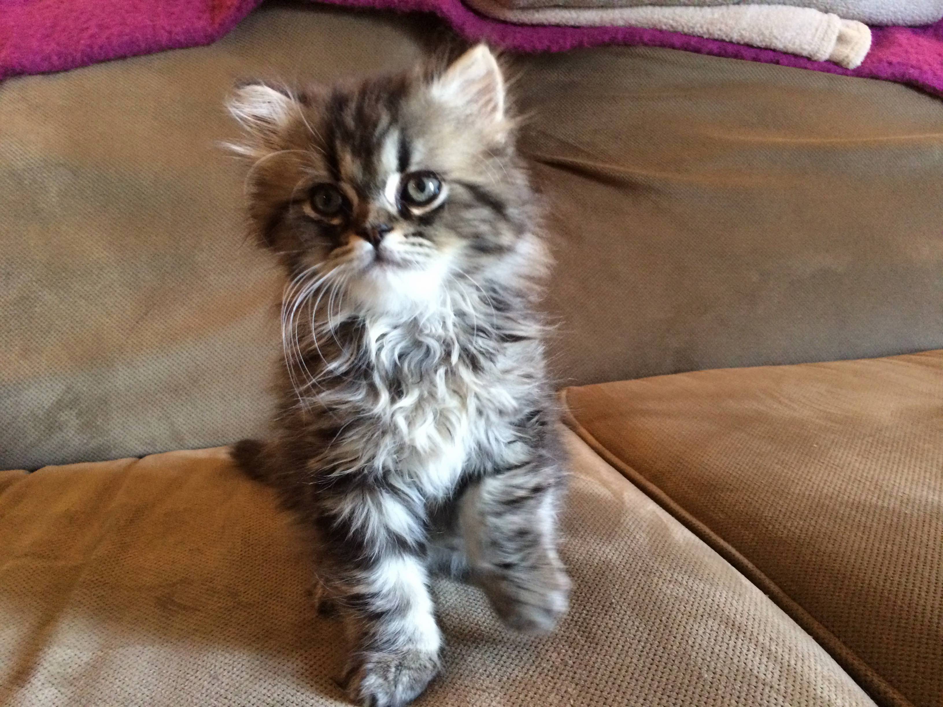This Is Phillip Seymour Hoffmans First Day Home.