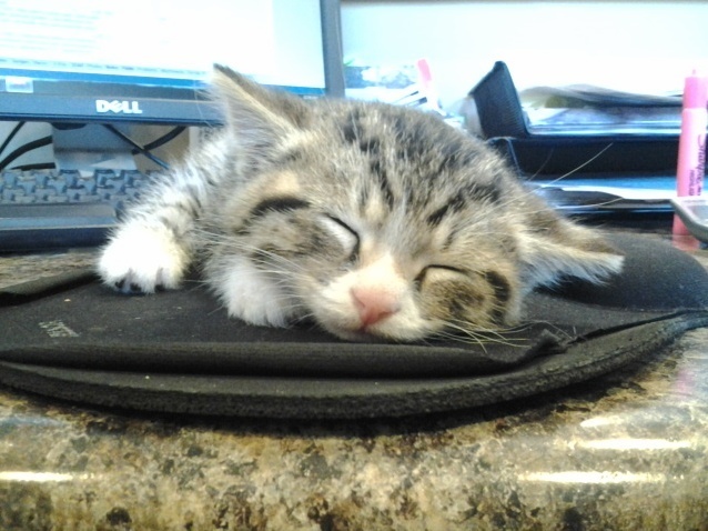 This Was the First Day I Brought Him Home 2 Years Ago.
