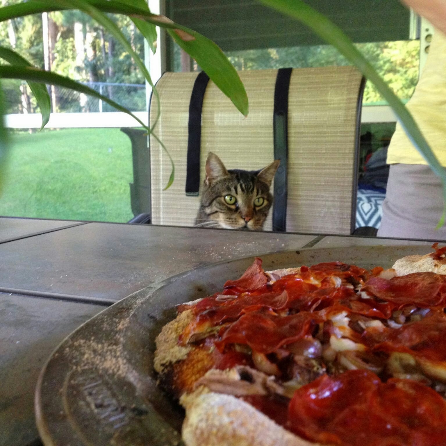 Waiting for an Escape Pepperoni.