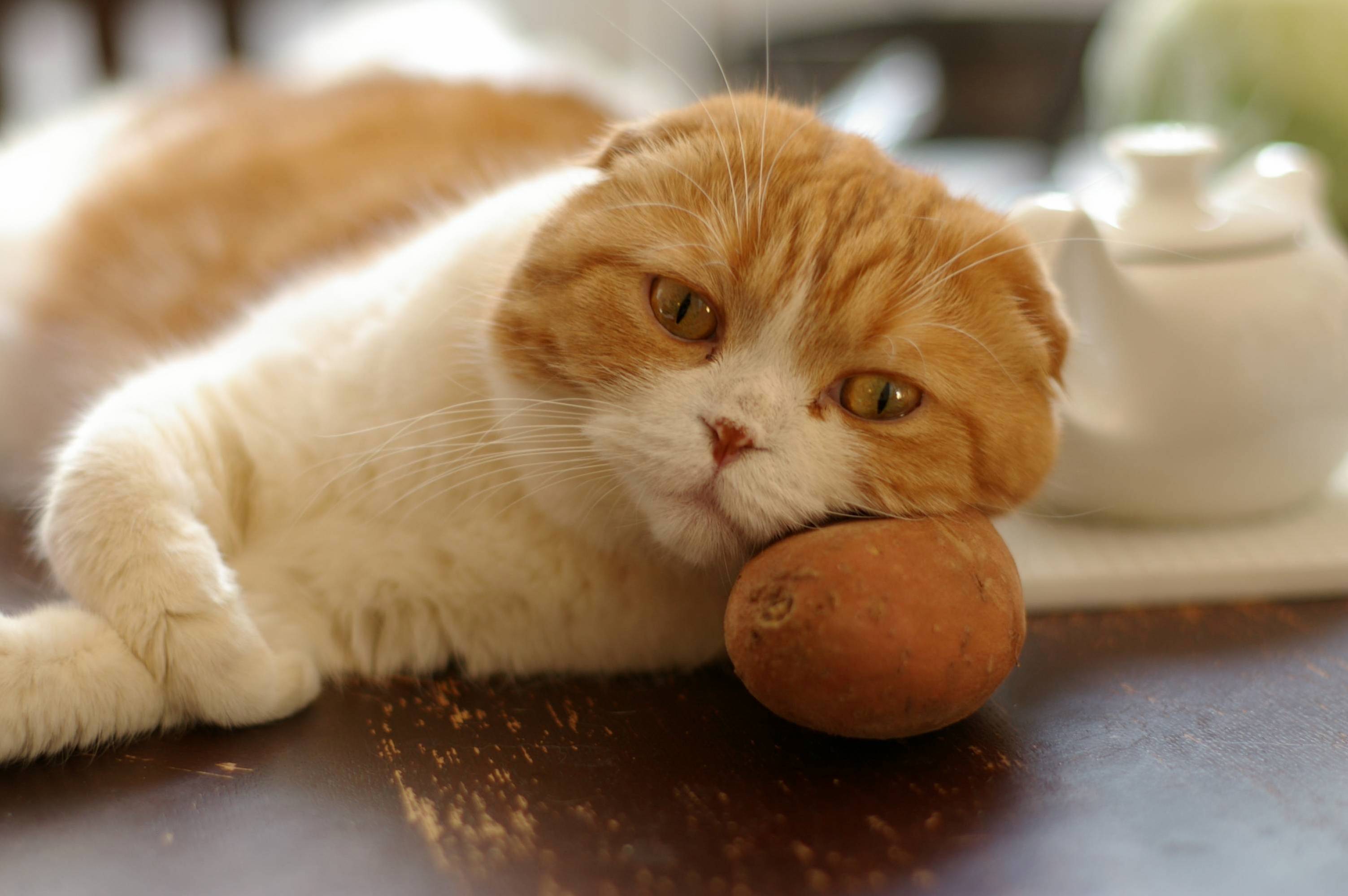 Yam Pillow