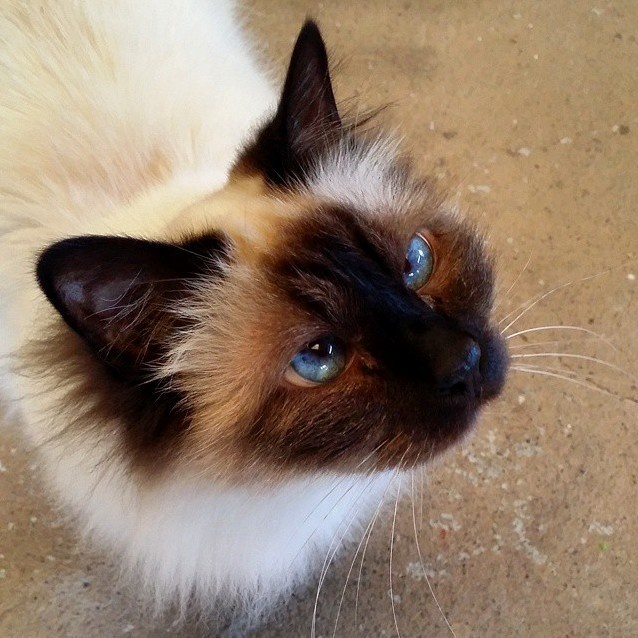 You Ve Got the Most Unbelievable Blue Eyes I Ve Ever Seen