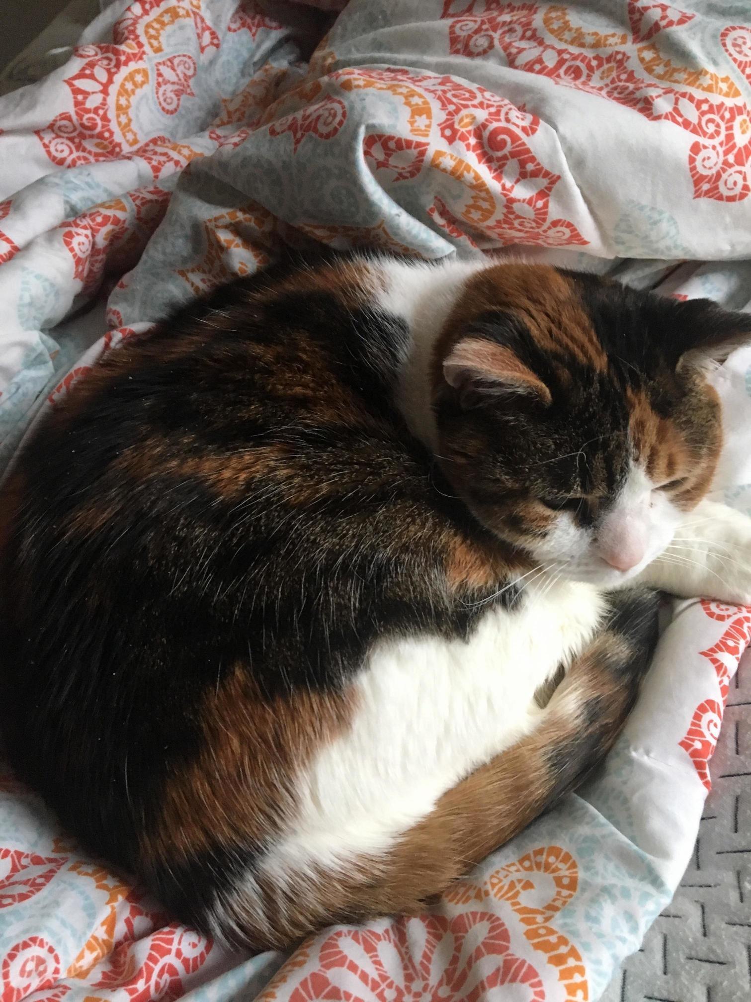 15yo Bailey Living the Dream