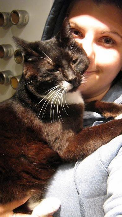 A Year Ago Today I Lost My Precious Boy. He Taught Me Total, Unconditional Love and I Will Always Miss Him.