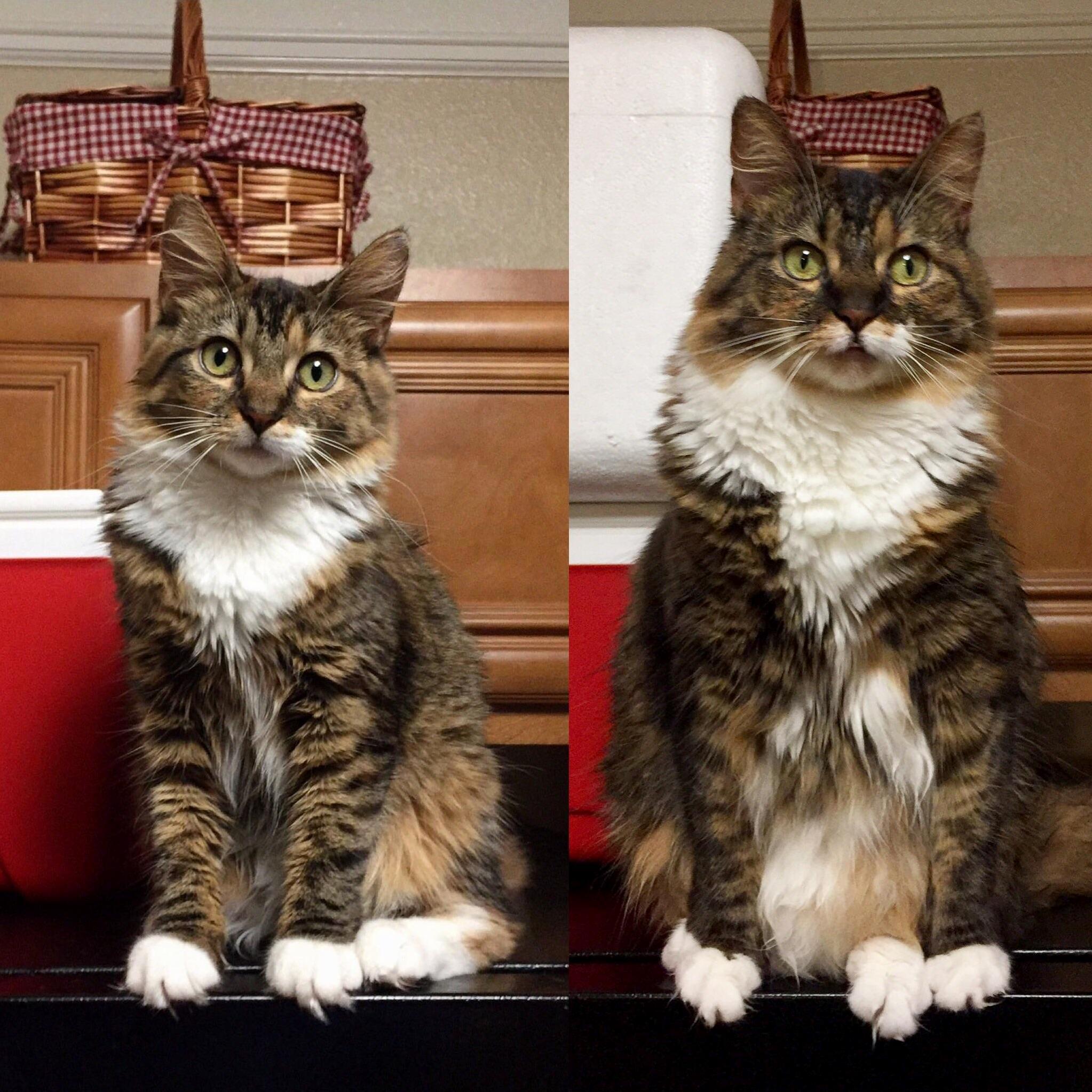 Aging Has Made Her More Derpy