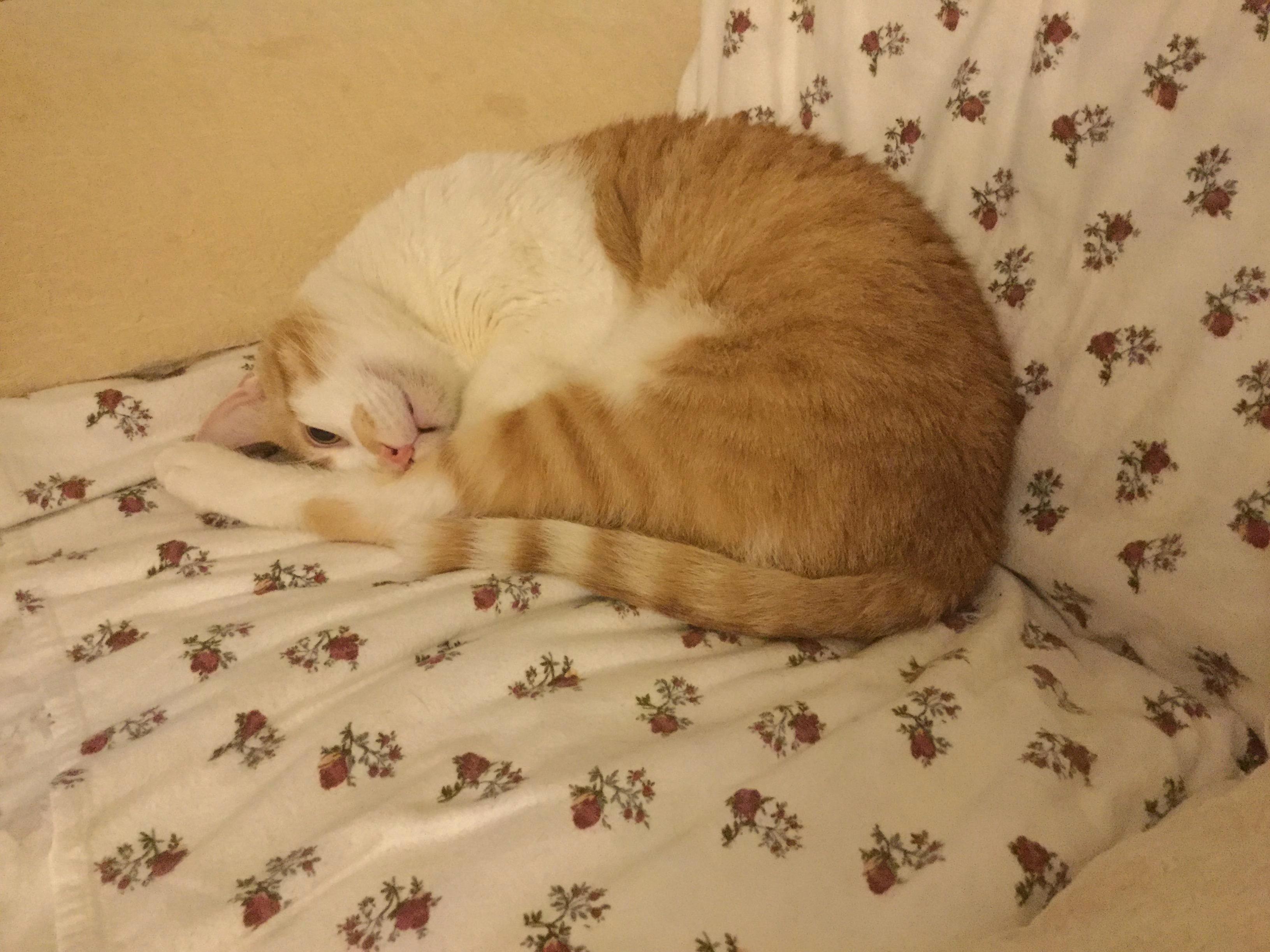 Almost 14 and As Cute As Ever!