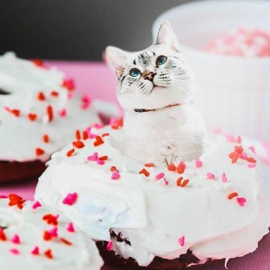 Almost Too Sweet to Eat