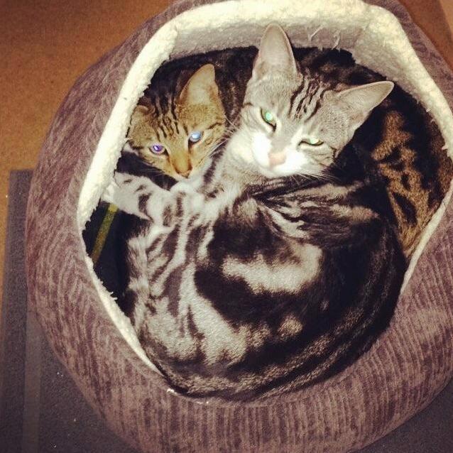 Arty and Mylo