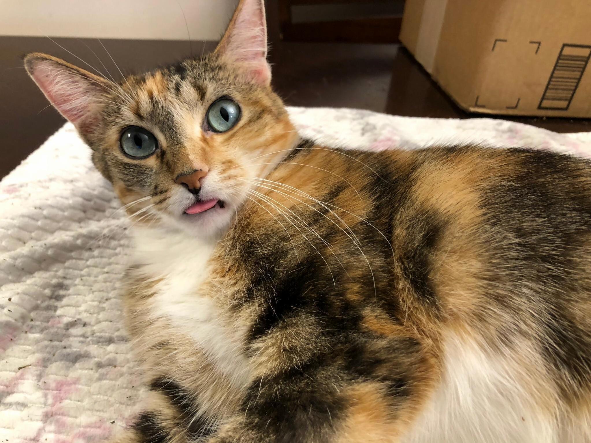 Bella Looking Stunned and Adorable.