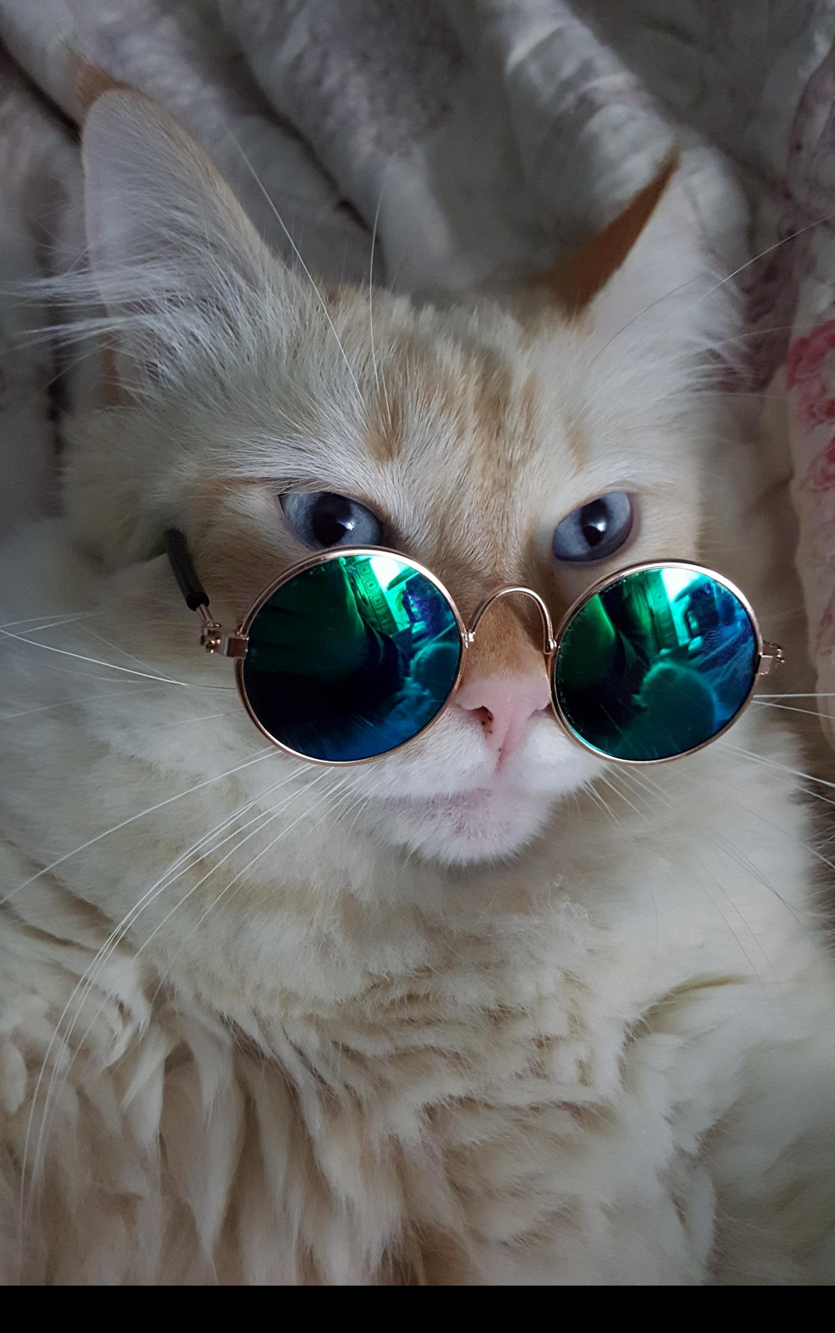Bing Bong Is a Real Fashionable Boy