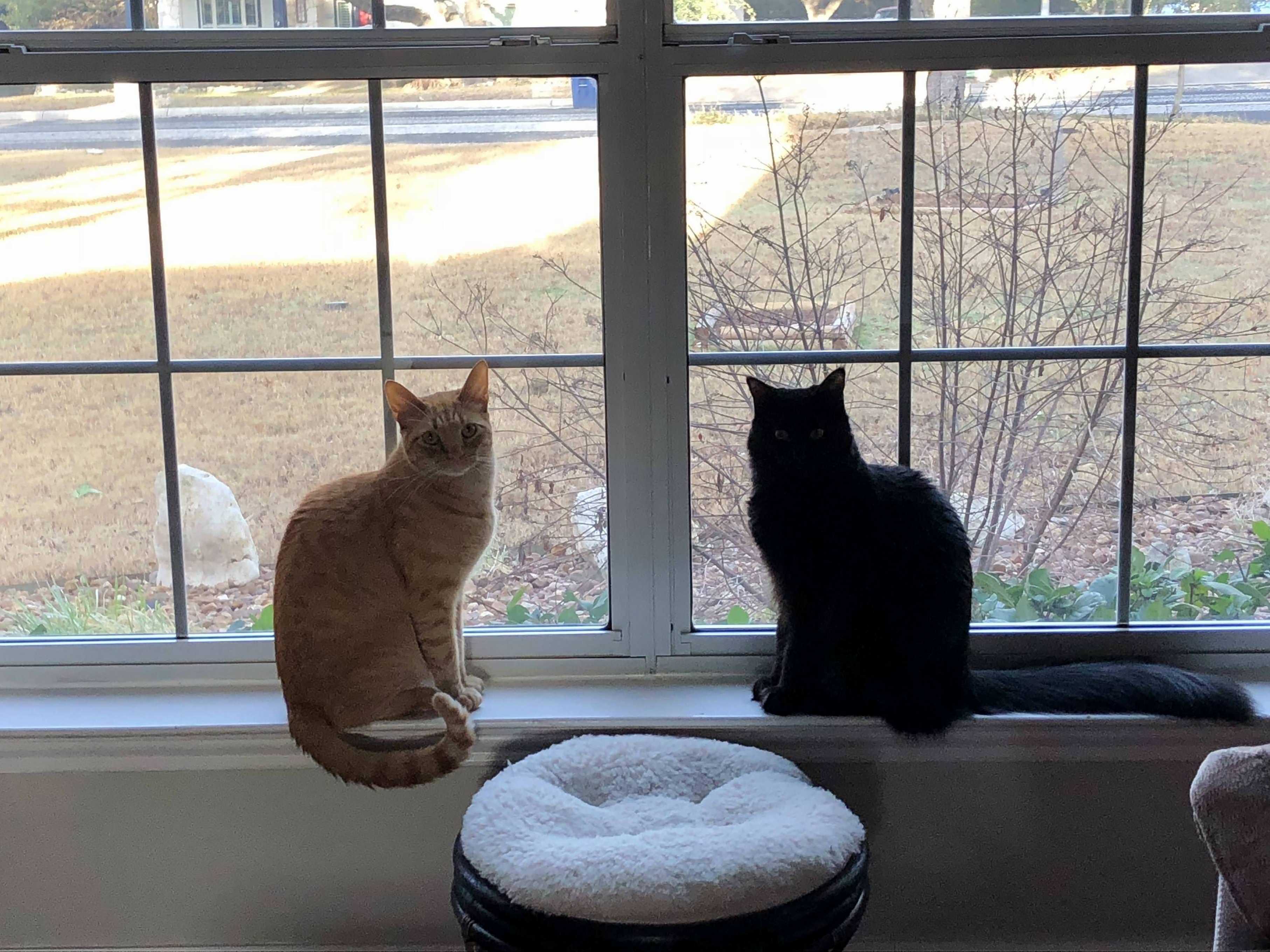 Bookend Boys