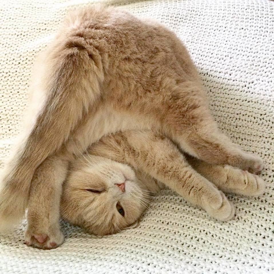 But, Can You Do This