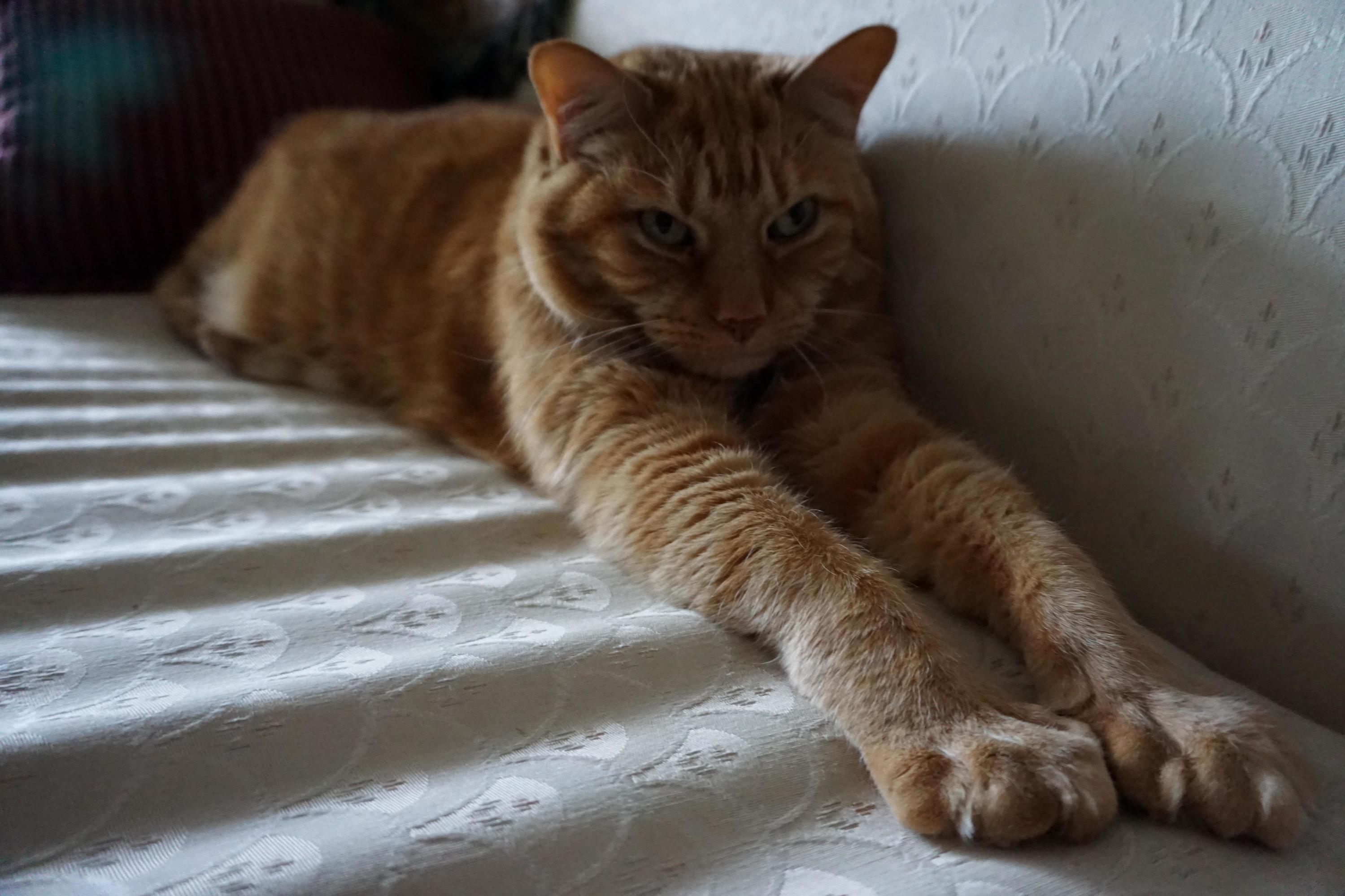 Butter Stretches