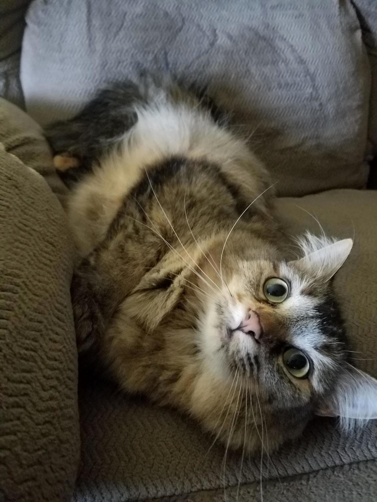 Clementine Says Hello!