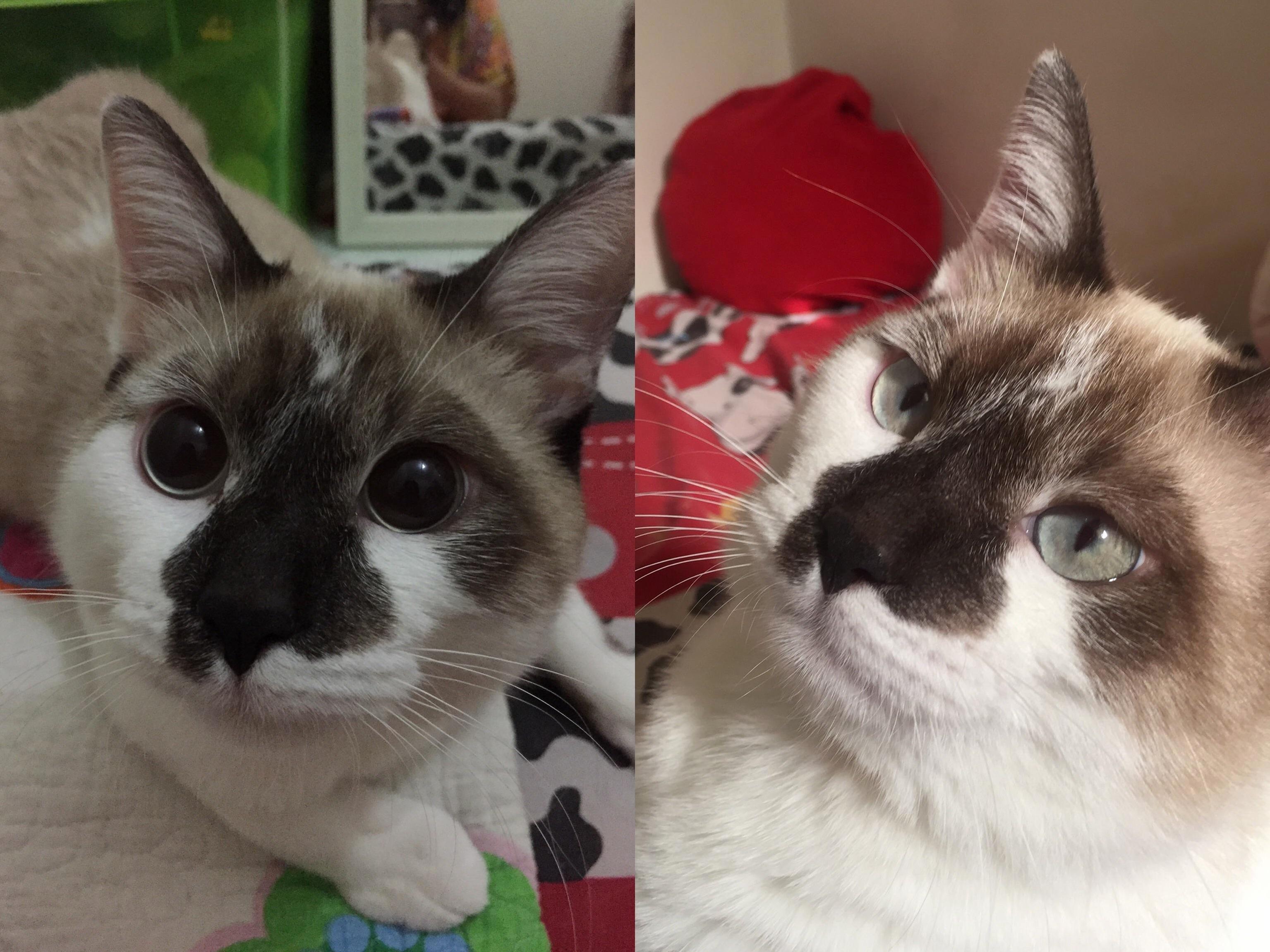 Daytime Vs Nighttime