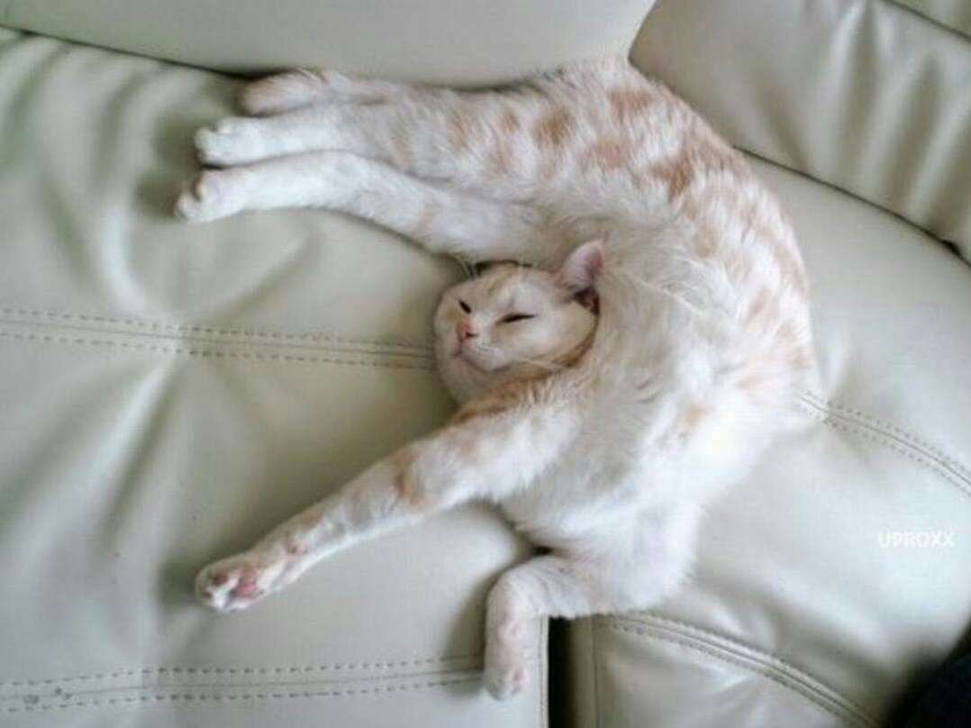 Dream Yoga