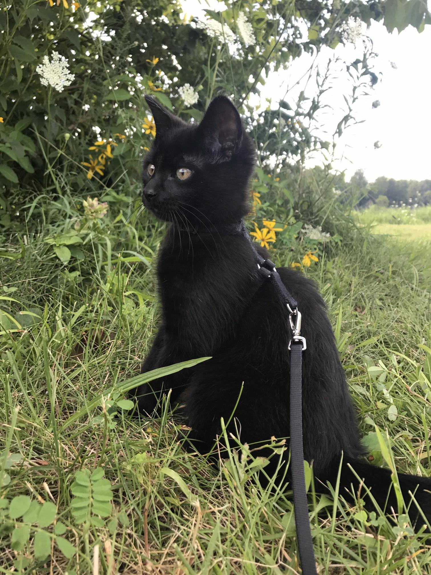 Dreaming of Warmer Days!