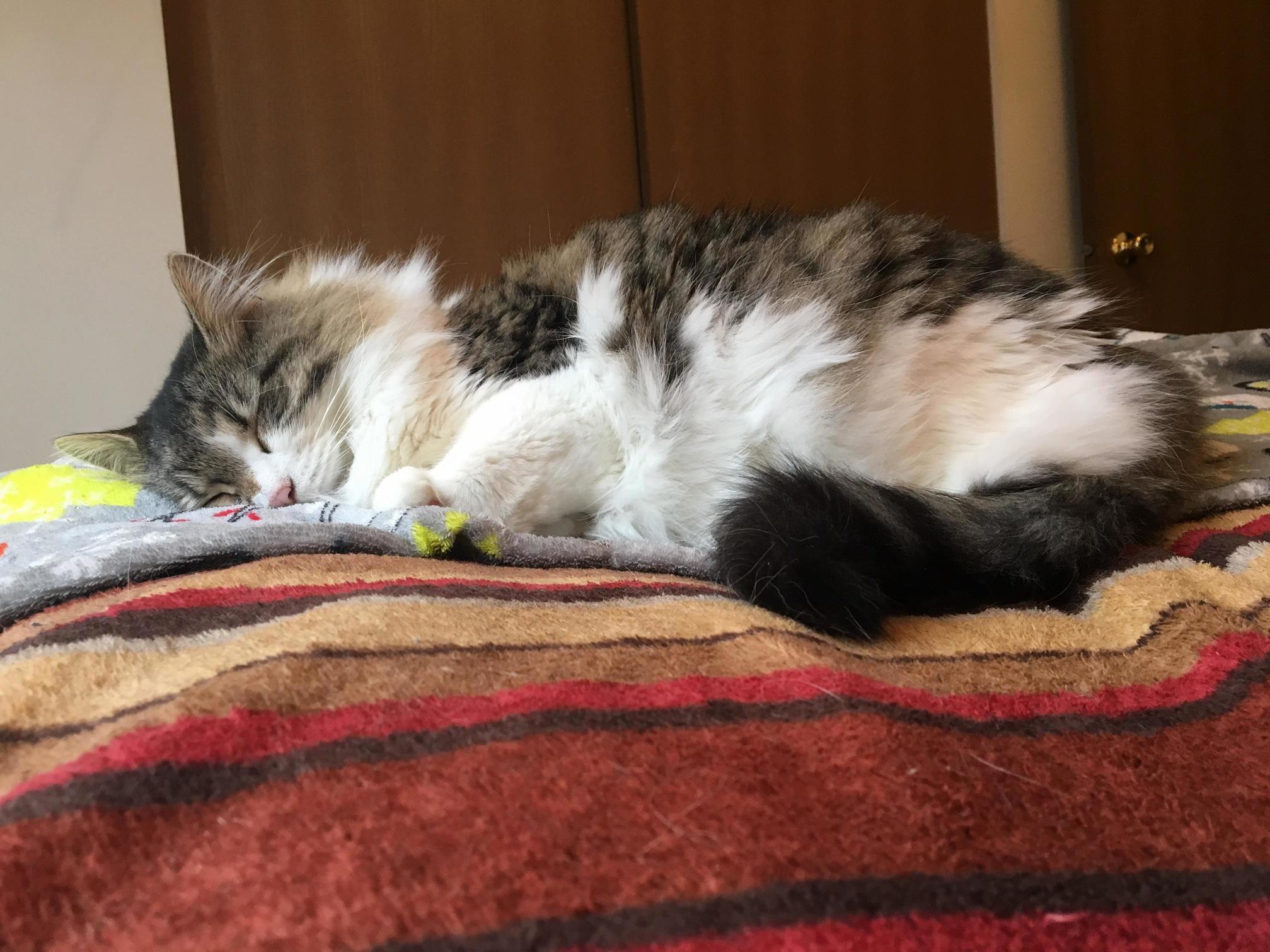 Even His Naps Are Adorable