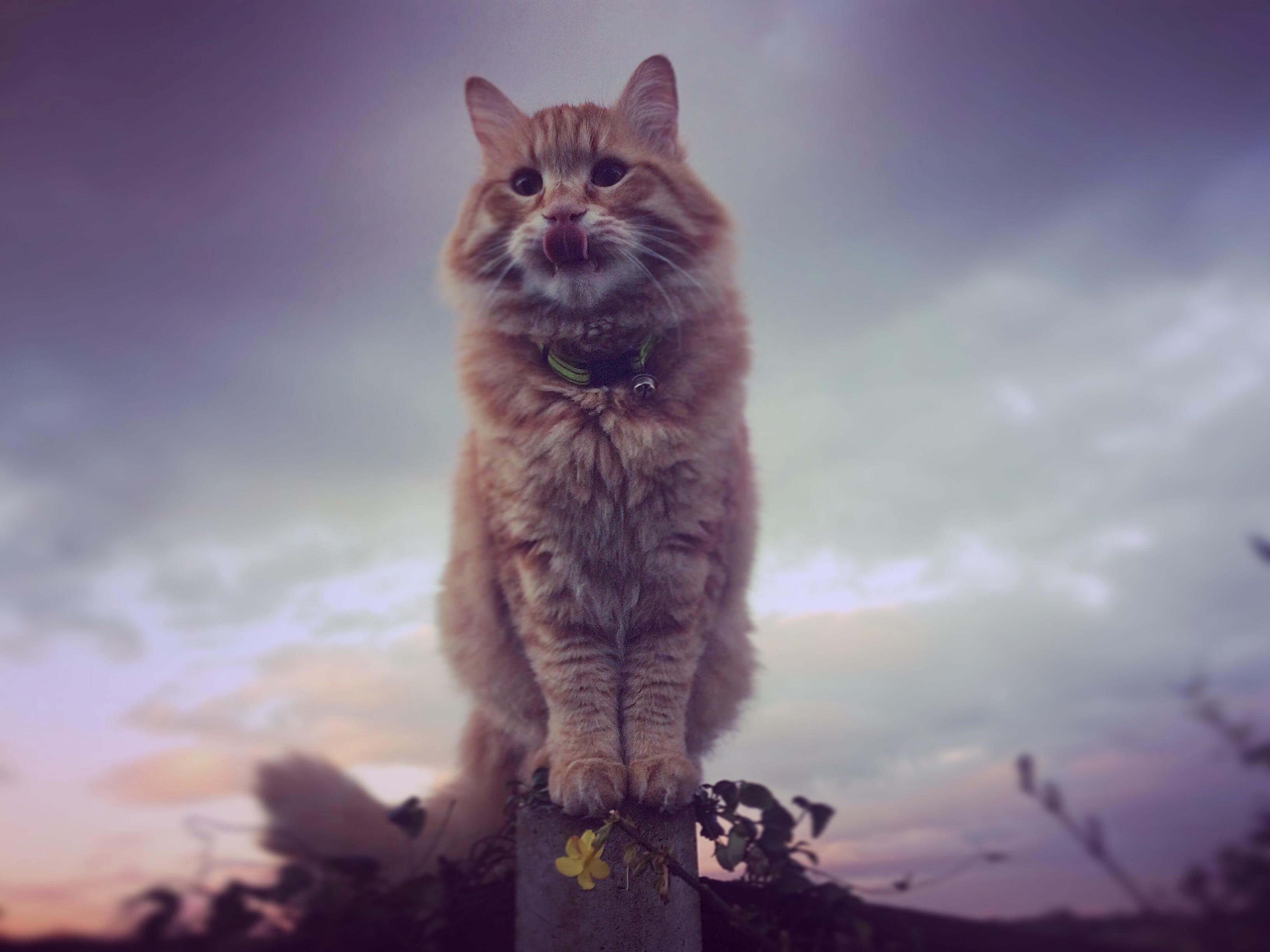 Fear Me!