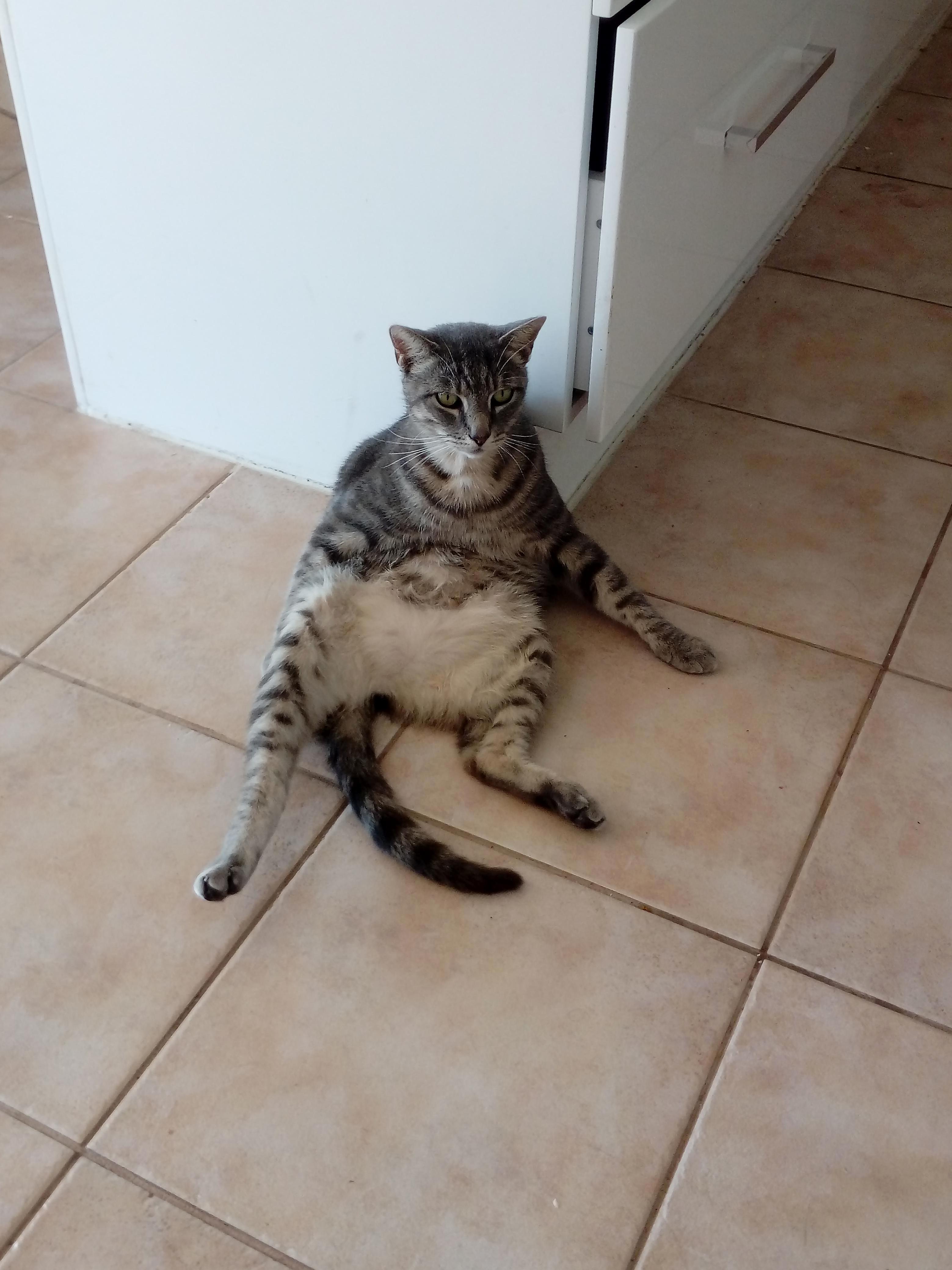 Frankie Thinks Hes a People
