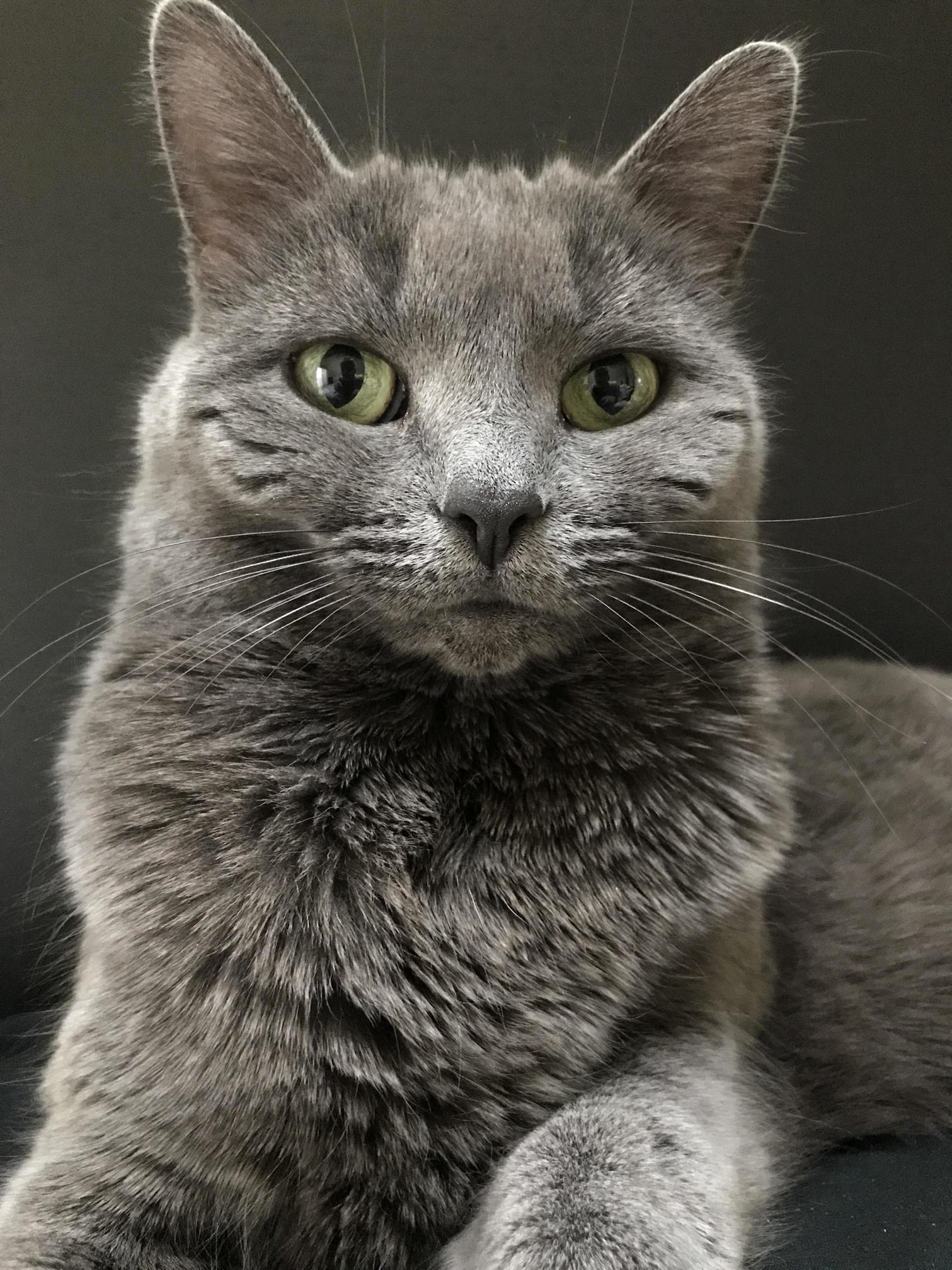 Good Morning from Belle