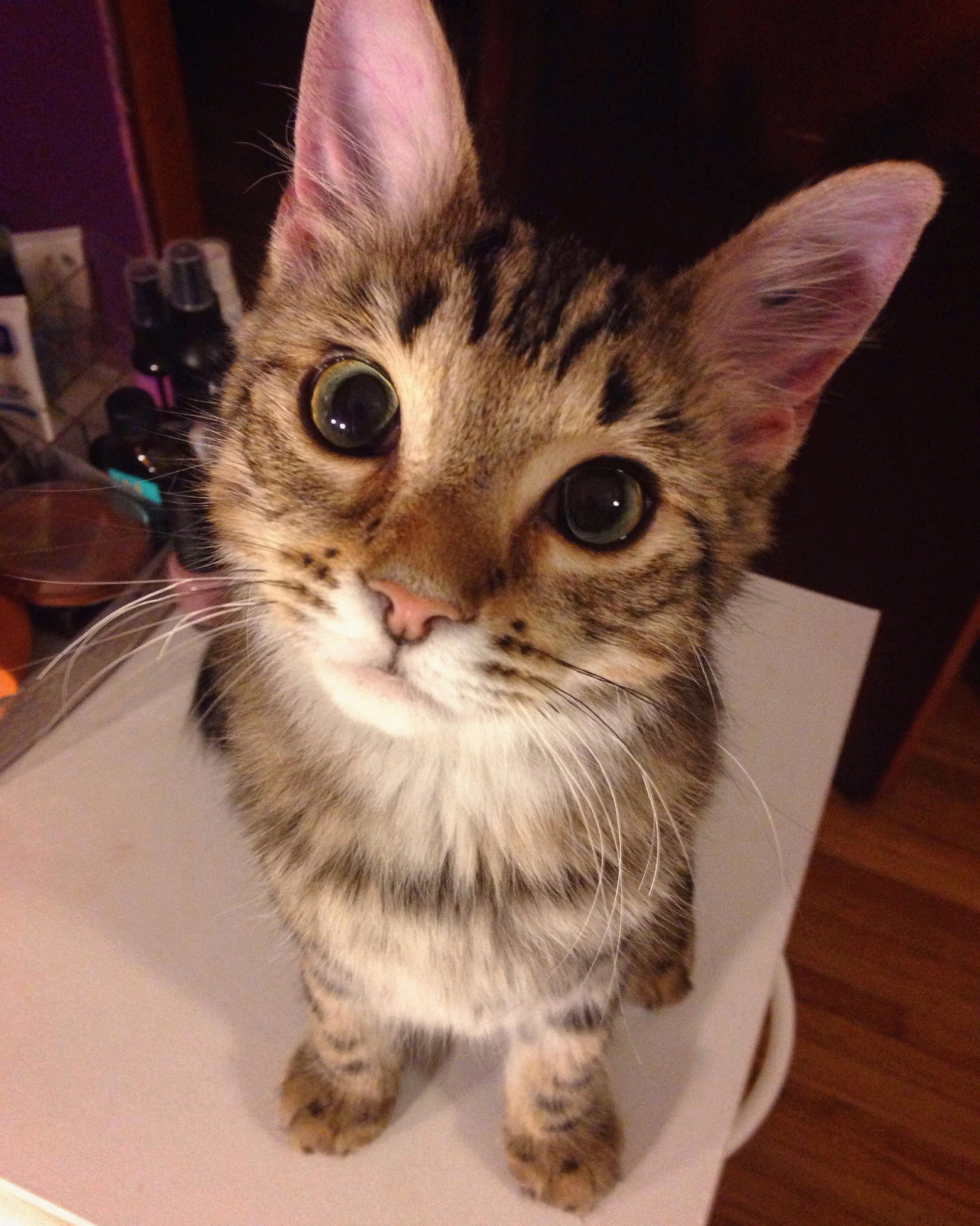 He Always Looks at Me Like This When Im Getting Ready