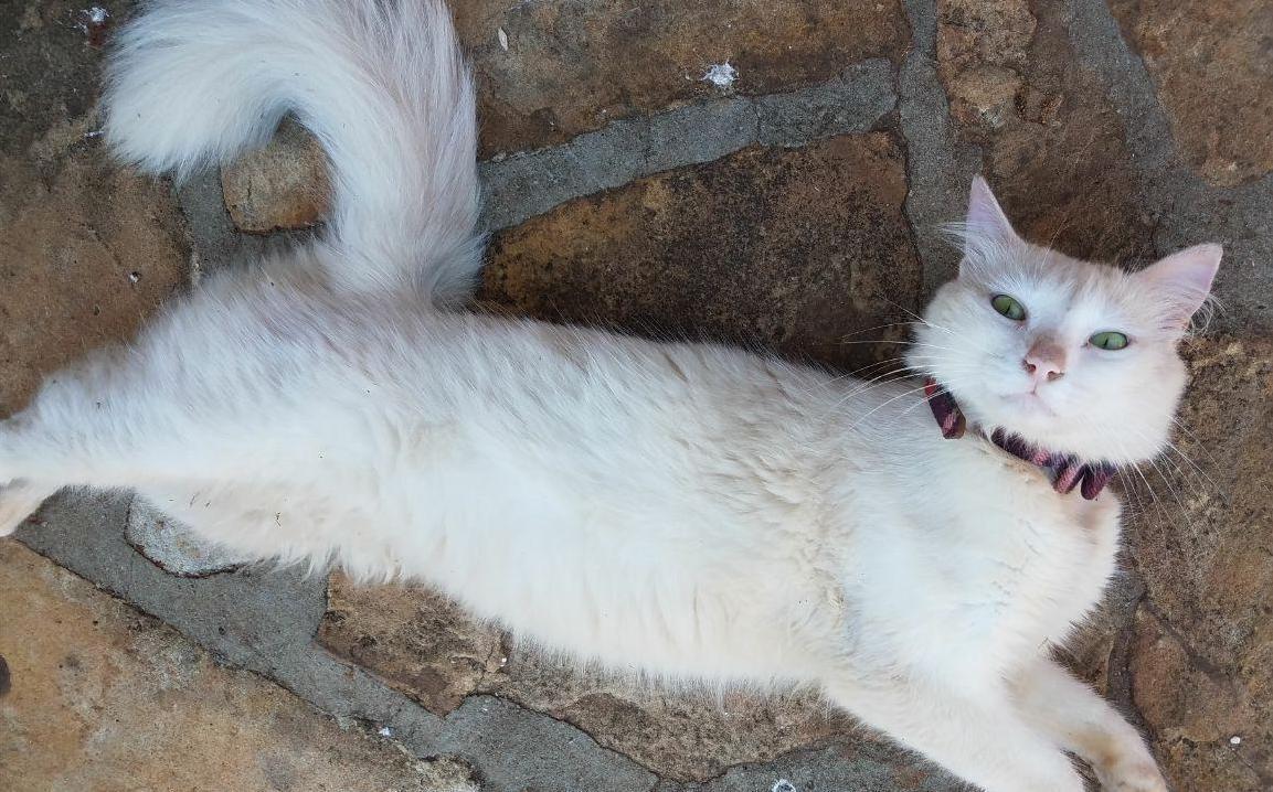 He Aspires to Be a Supermodel